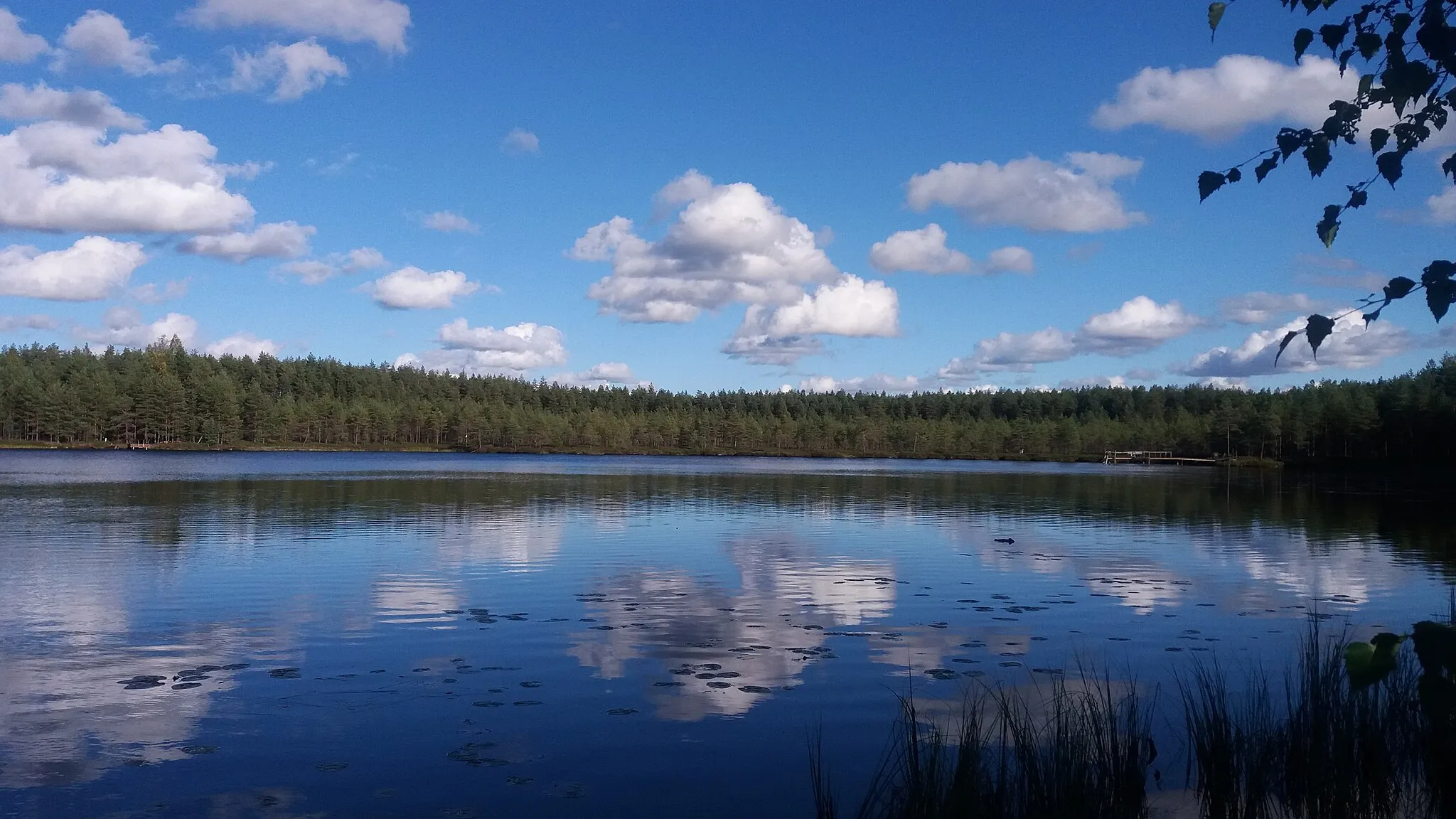 Photo showing: Lake Palojärvi, Kokemäki, Finland.