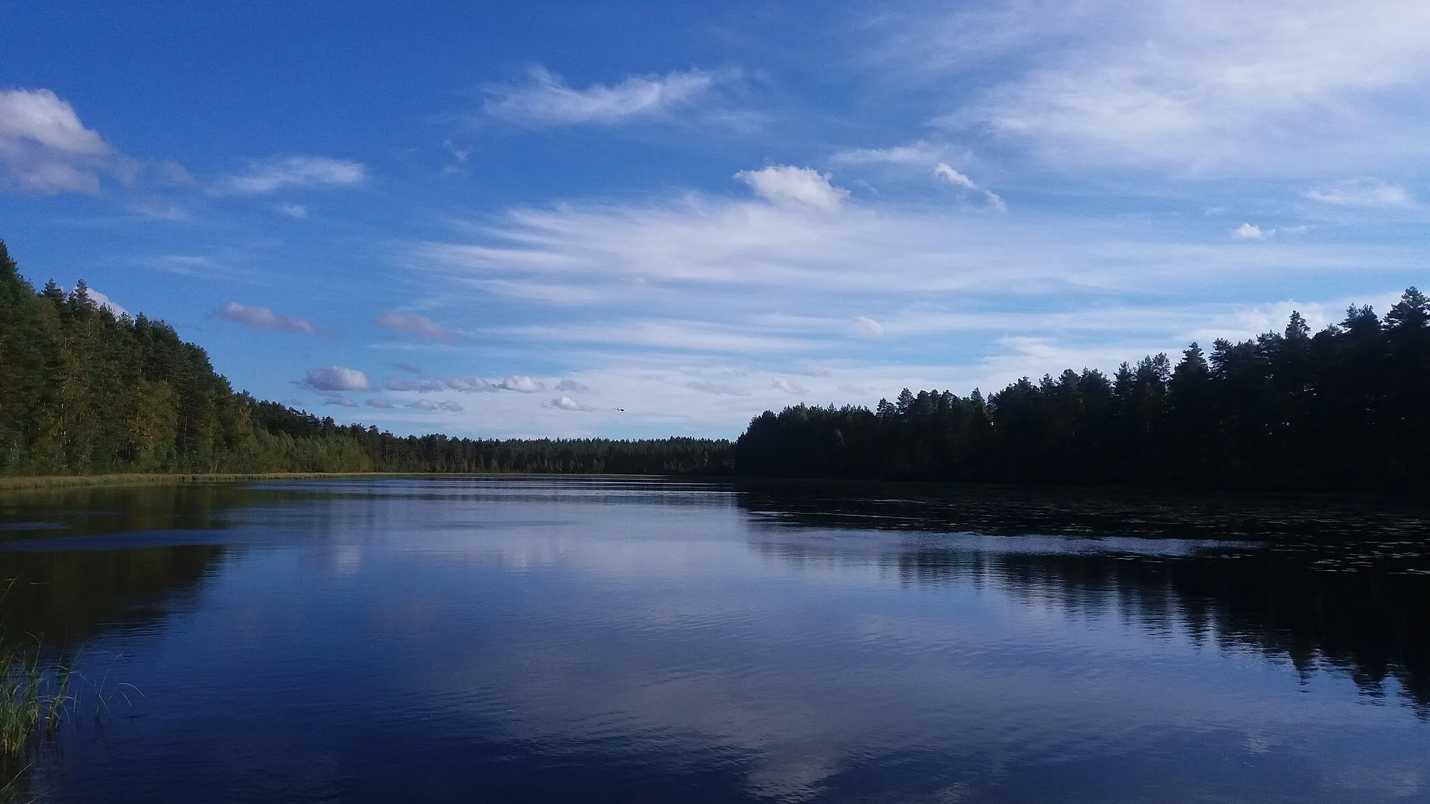 Photo showing: Lake Piikajärvi, Kokemäki, Finland. A landing glider in the sky.