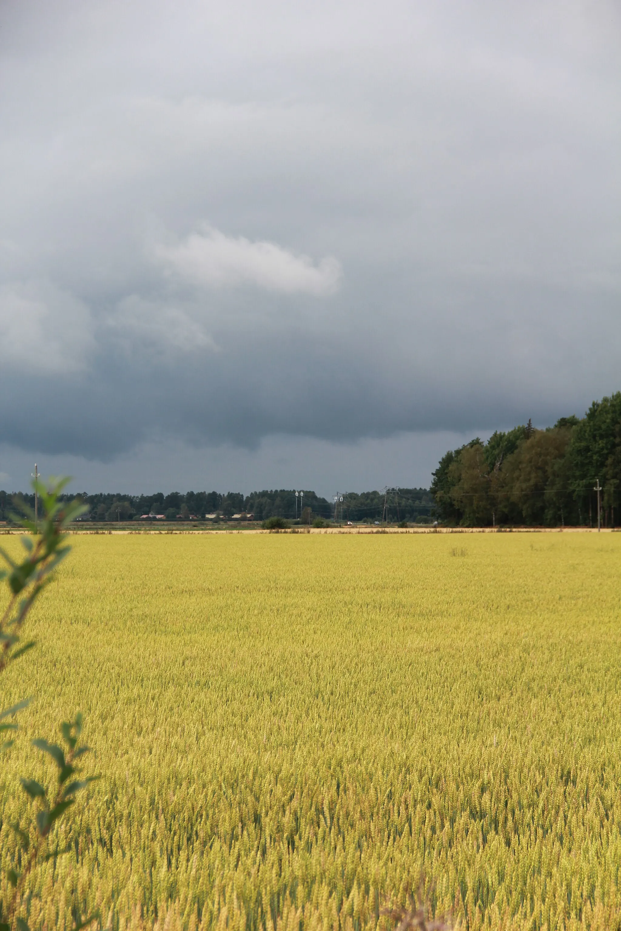 Photo showing: Field in Pyhäjoki village, Säkylä, Finland. Landscape towers (named Sails) seen in distance.