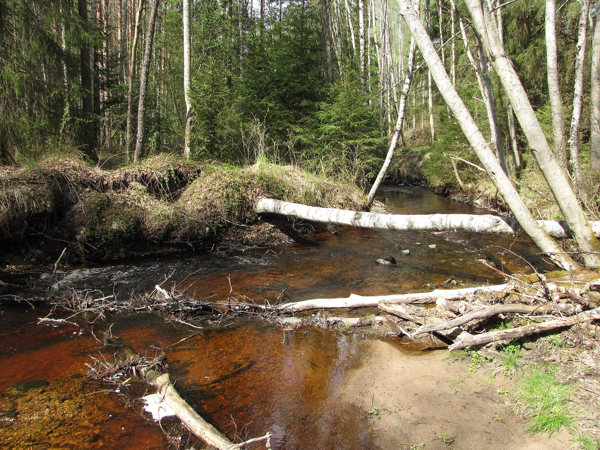 Photo showing: Rauhaluoma stream in Kauhajoki, Finland.