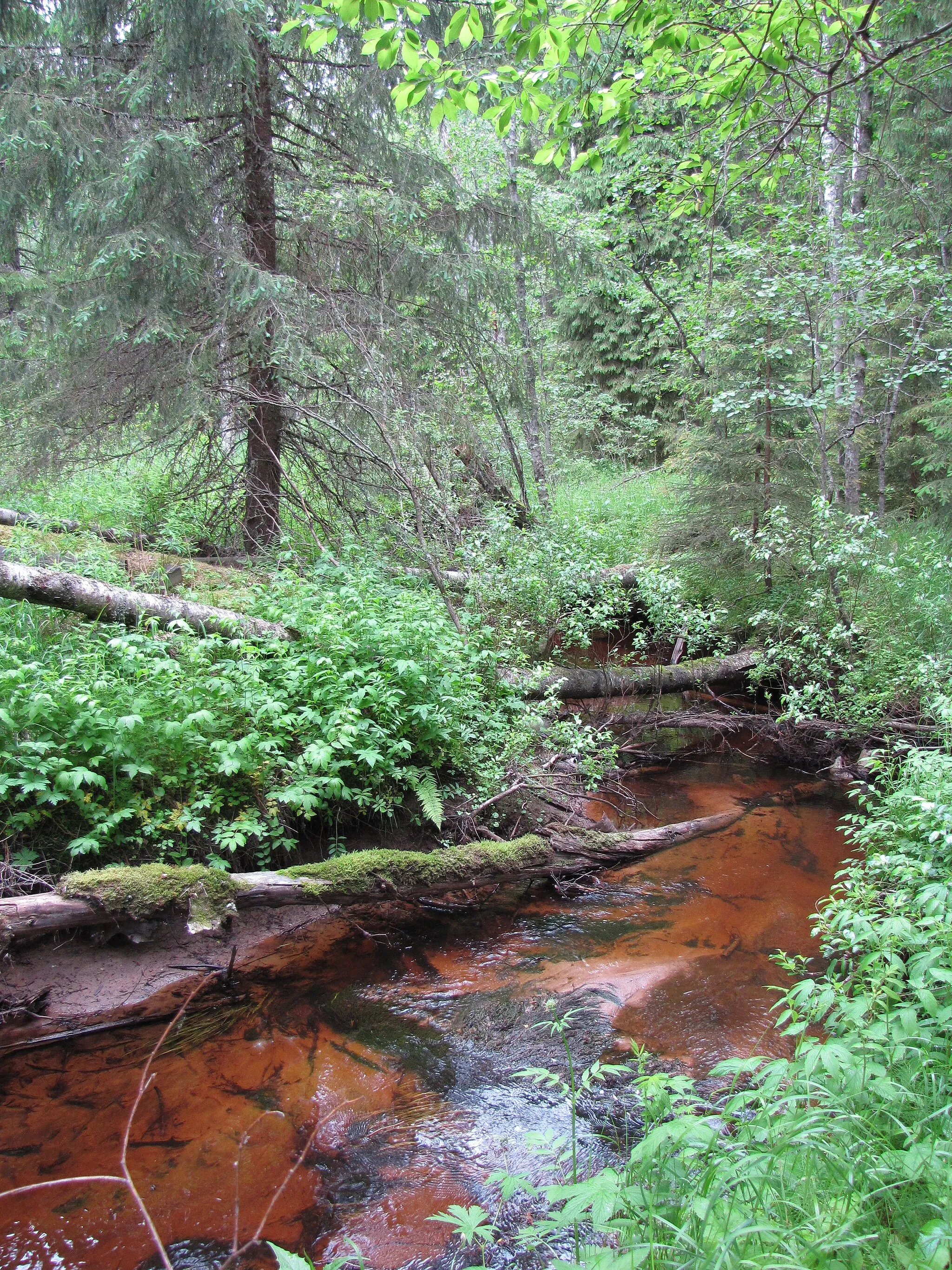 Photo showing: Katikanluoma stream in Kauhajoki, Finland.