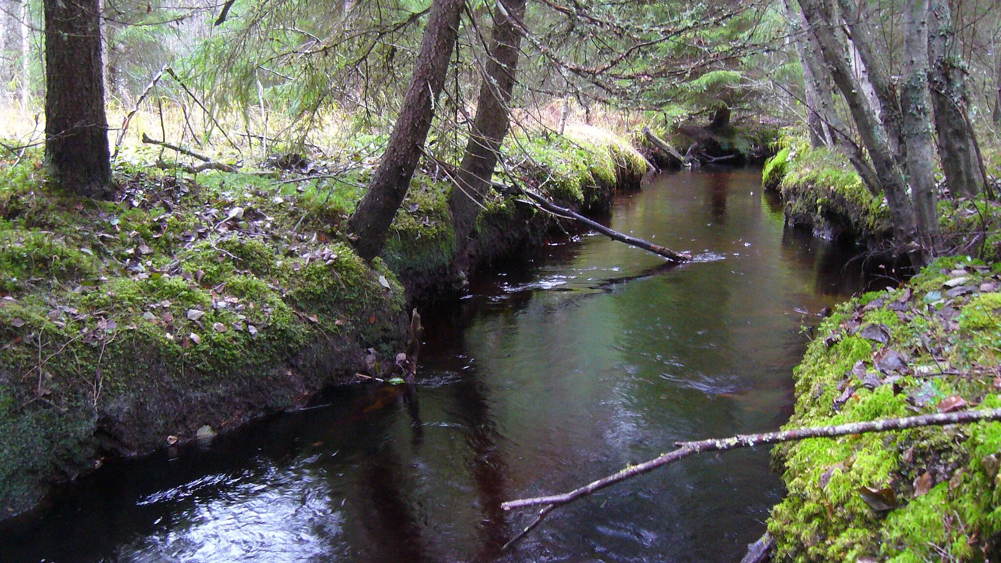 Photo showing: Mustaluoma (also known as Kovasluoma) river in southwest Jalasjärvi, Finland.