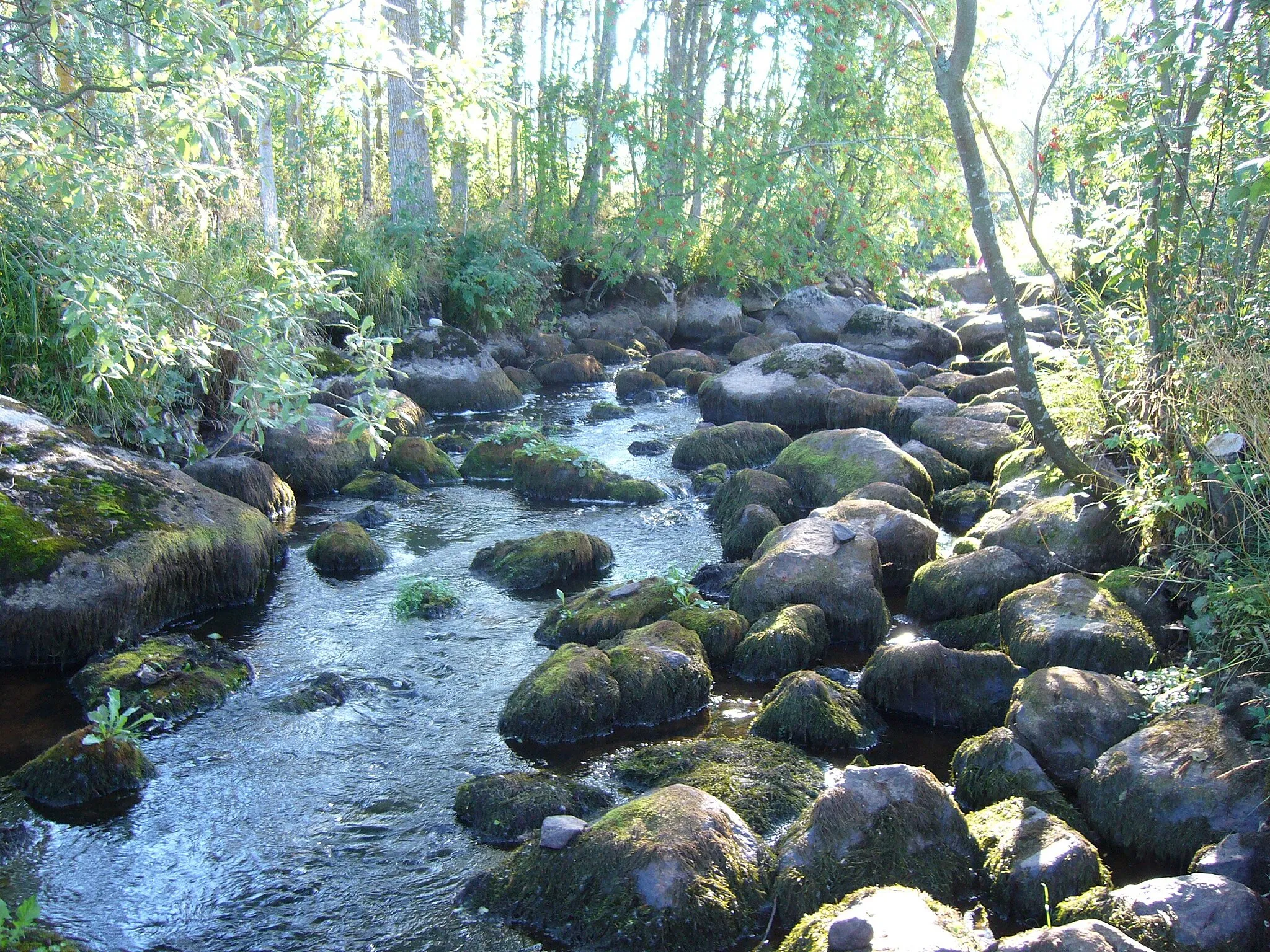 Photo showing: River of Koskutjoki in Jalasjärvi, Finland.