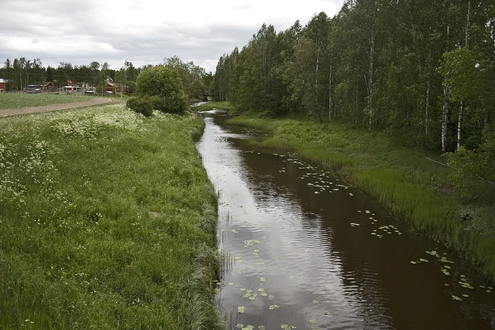 Photo showing: Huittinen, Sammunjoki, Sammun sillalta itään, Kylä-Juuselan silta näkyy