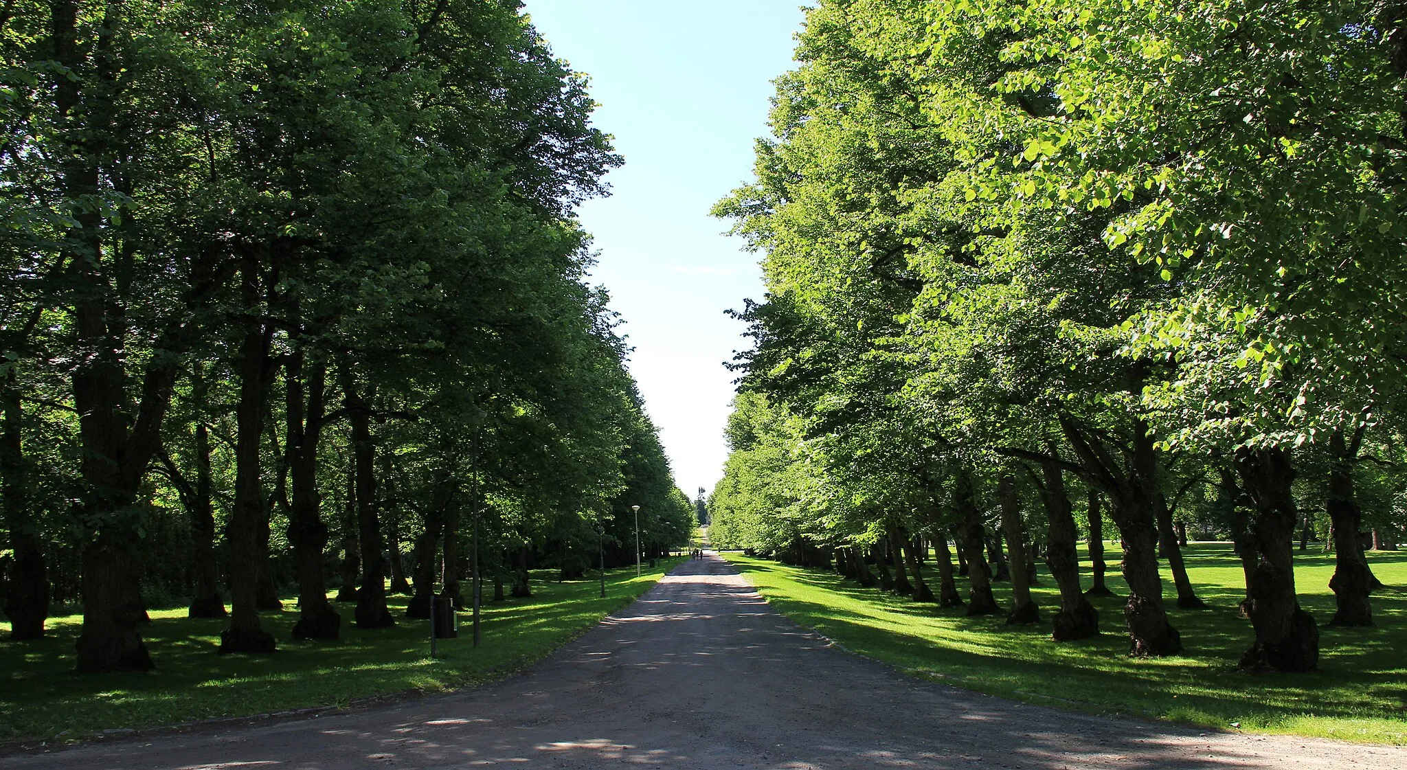 Photo showing: Old Vaasa Crown Court avenue, Old Vaasa, Vaasa, Finland. - Avenue with lime trees, seen towards Korsholma Castle mound.