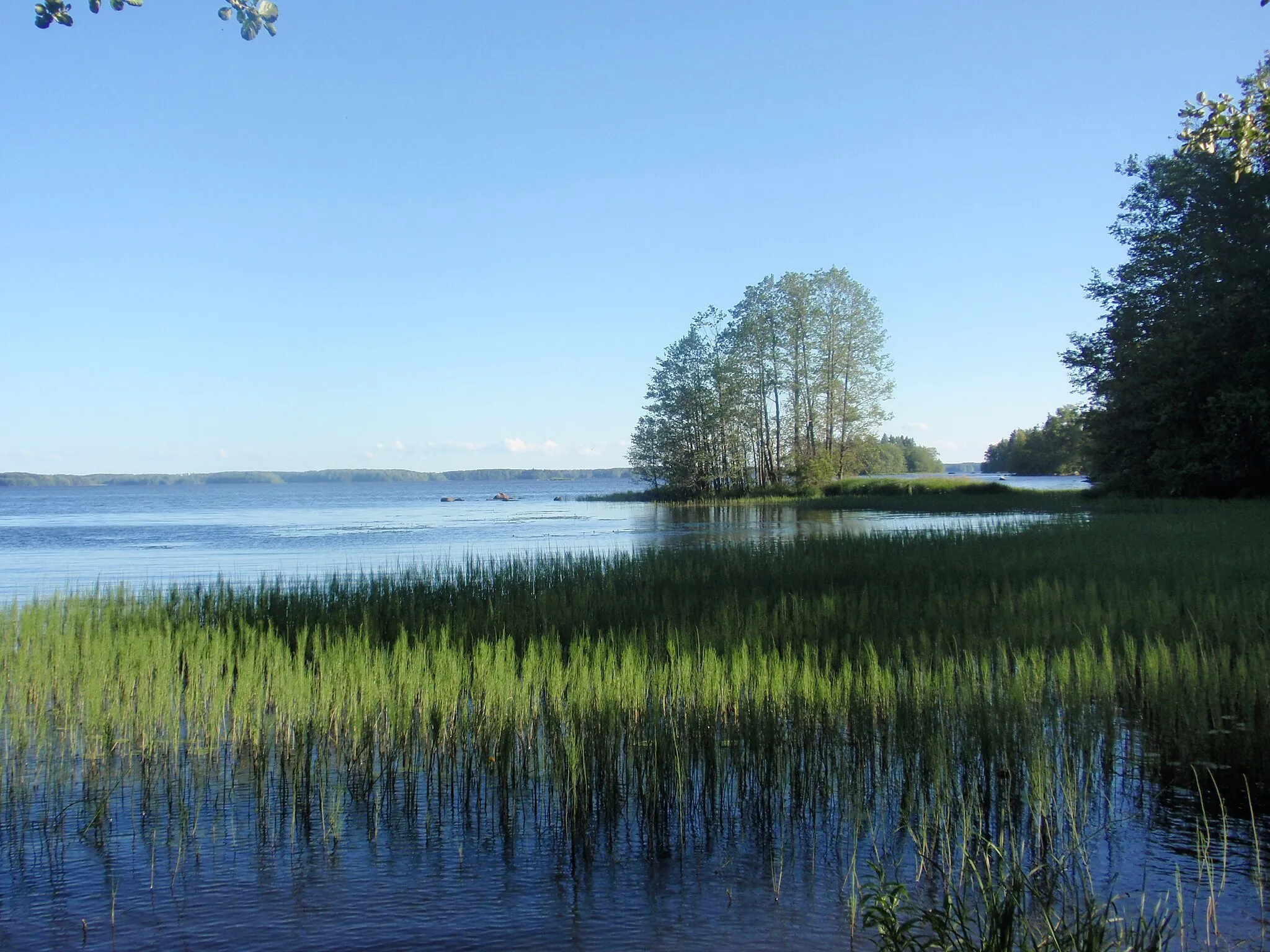 Photo showing: Sääksjärvi lake, Kokemäki, Finland.
