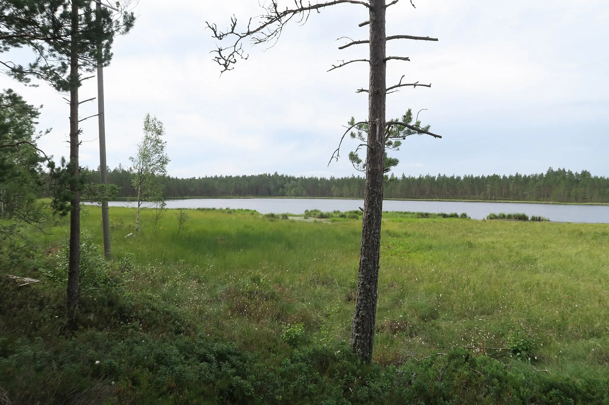 Photo showing: Haukijärvi (Kauvatsanjoen valuma-alue), Ulvila.