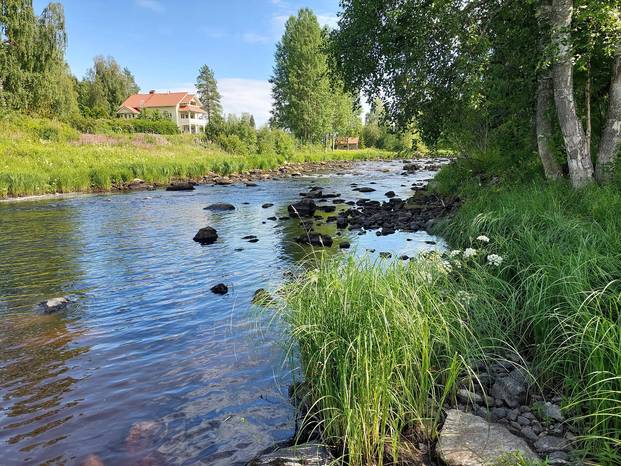 Photo showing: End of Pitkäkoski at river Matkusjoki