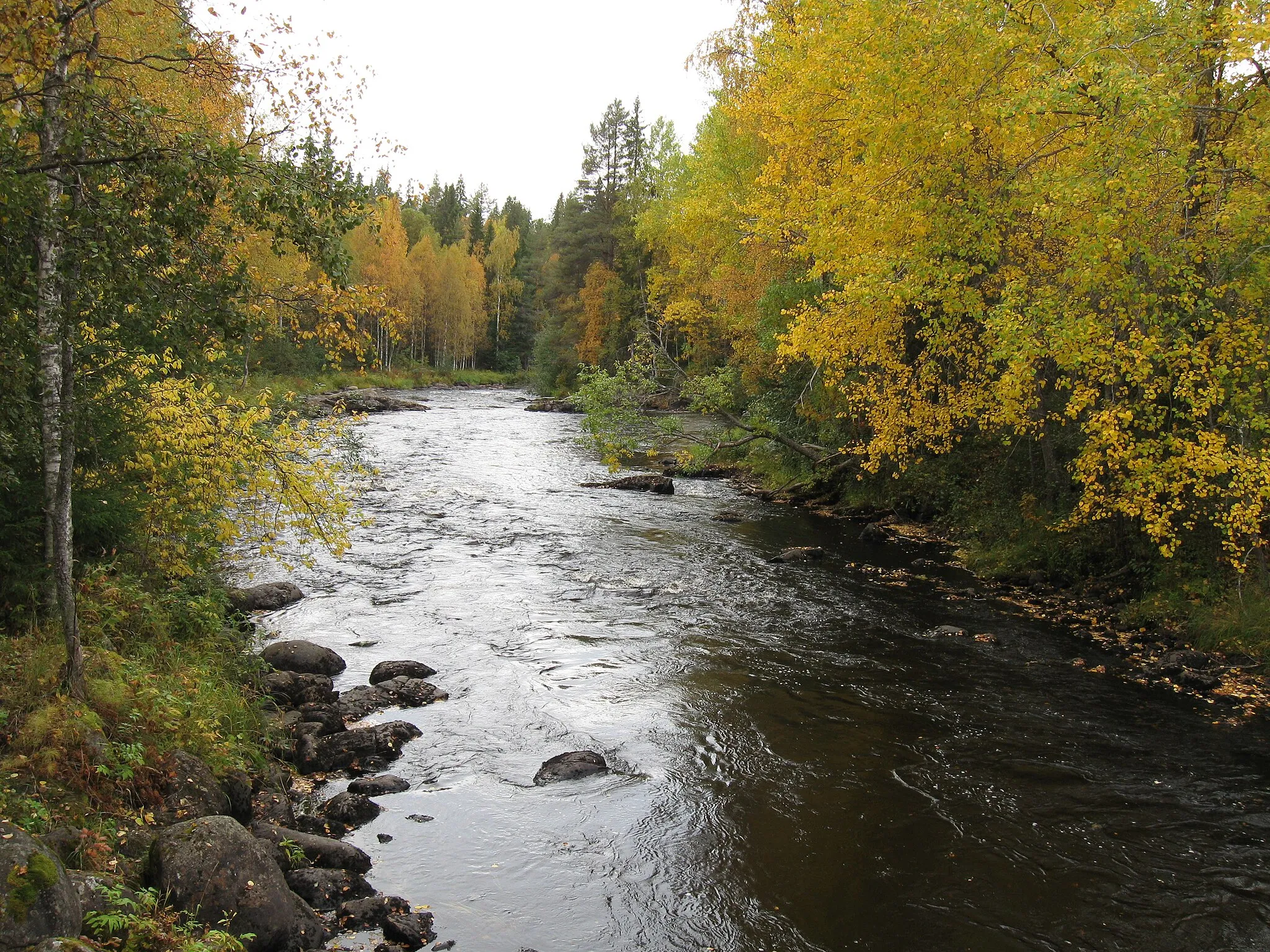 Photo showing: The Kalliuskoski rapids of the Kiiminkijoki river in Puolanka, Finland.