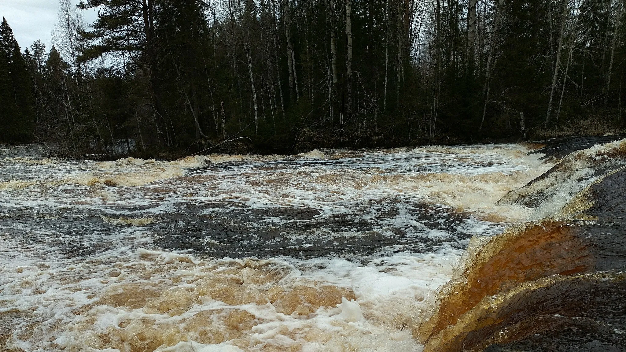 Photo showing: The Kalliuskoski white water rapids of the Kiiminkijoki river in Puolanka, Finland, in Spring 2017.