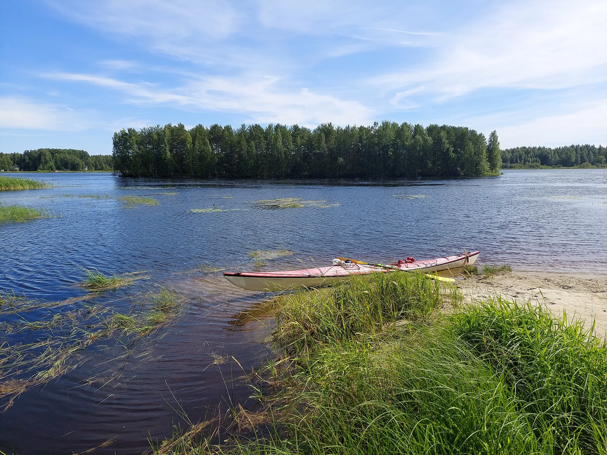 Photo showing: View on a paddling trip on River Pielisjoki. Pataluoto island.