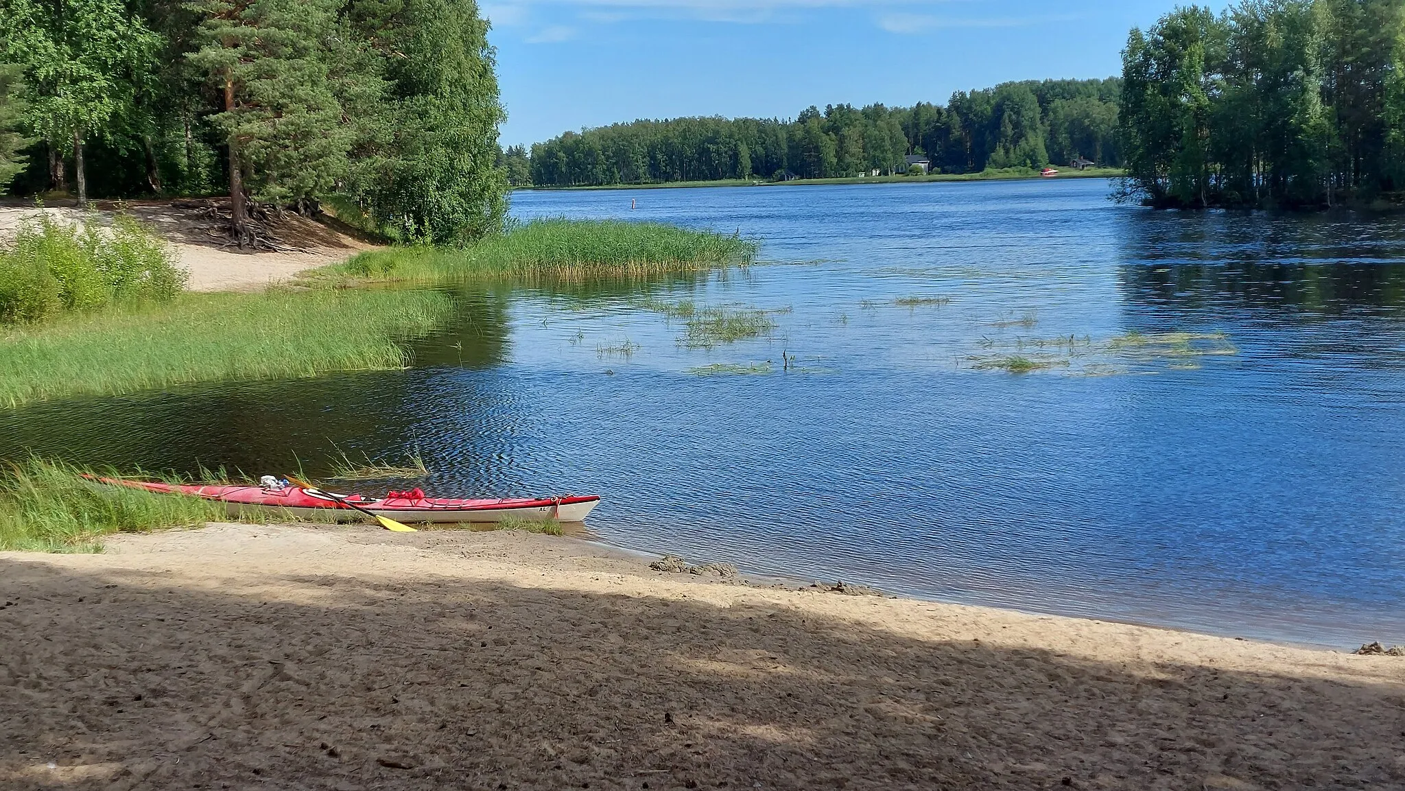 Photo showing: View on a paddling trip on River Pielisjoki.  Pataluoto island.