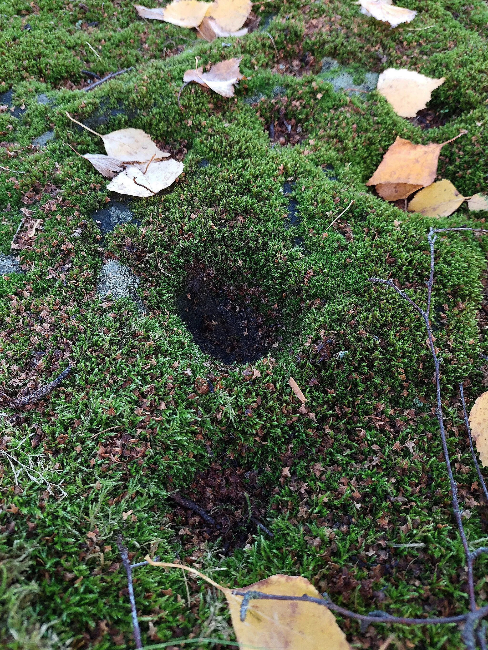 Photo showing: Anttola cup marked stone