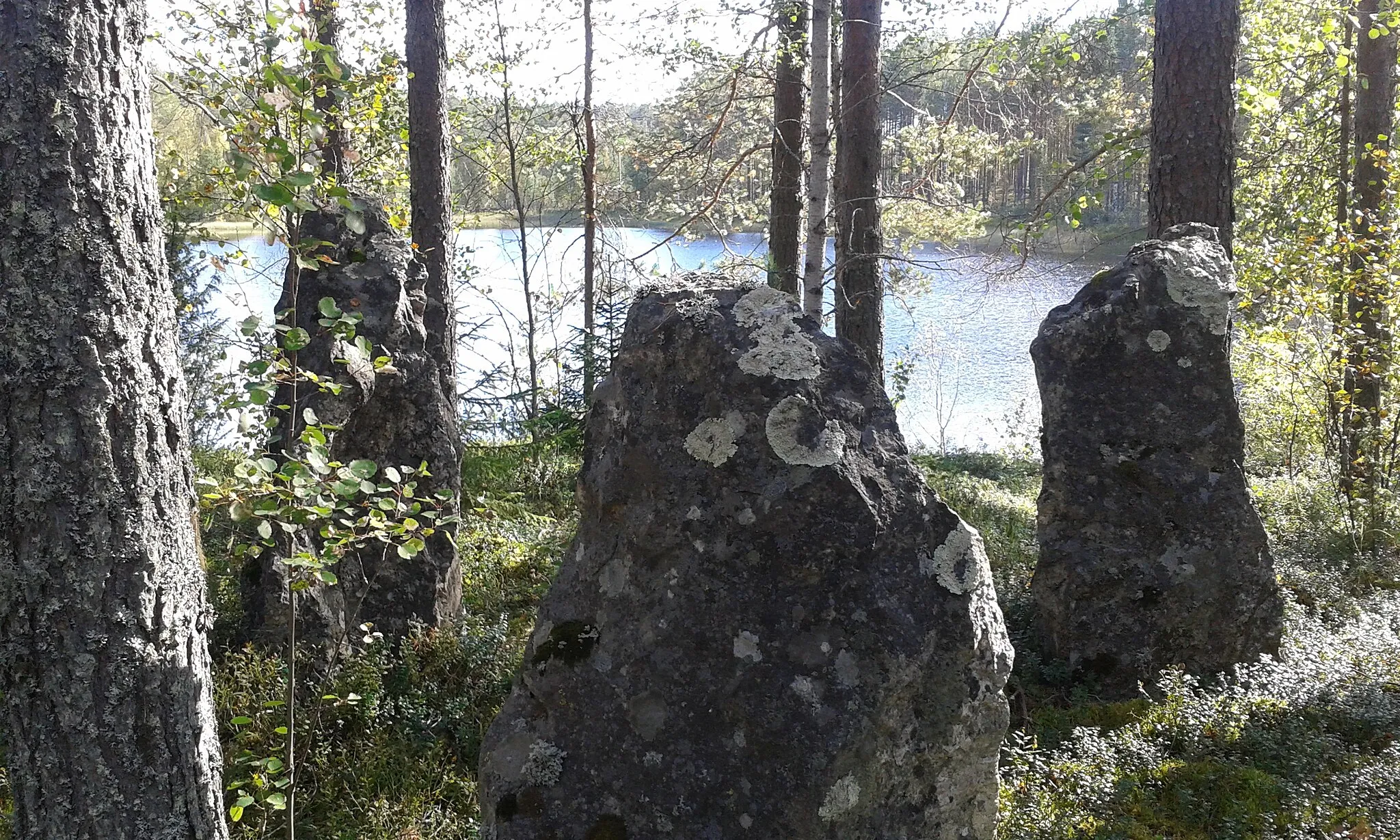 Photo showing: This is a photo of a monument in Finland identified by the ID 'Salpa Line' (Q164333) - RKY: 2021