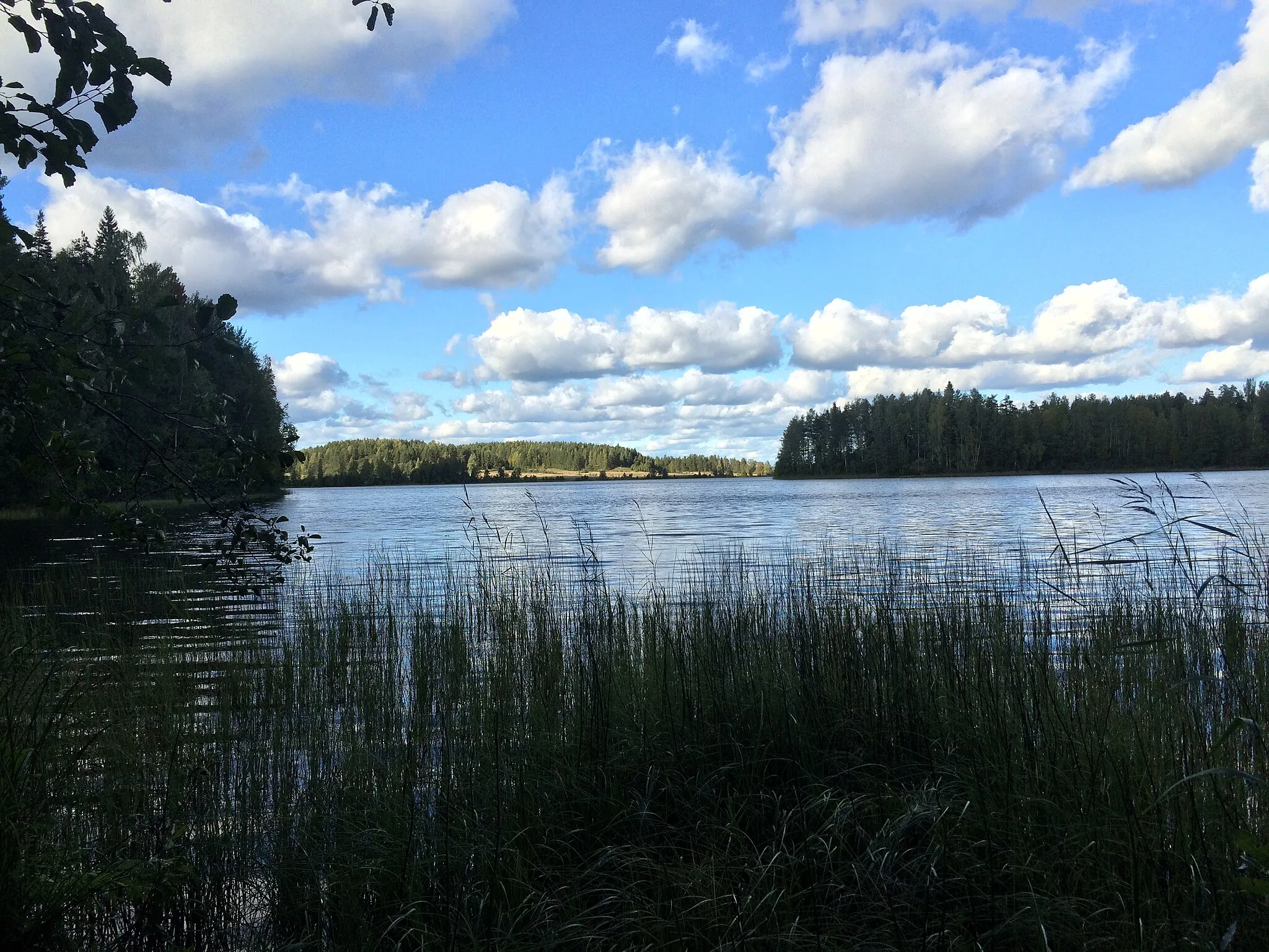 Photo showing: Питкяярви (озеро, Сортавальский район, южное)