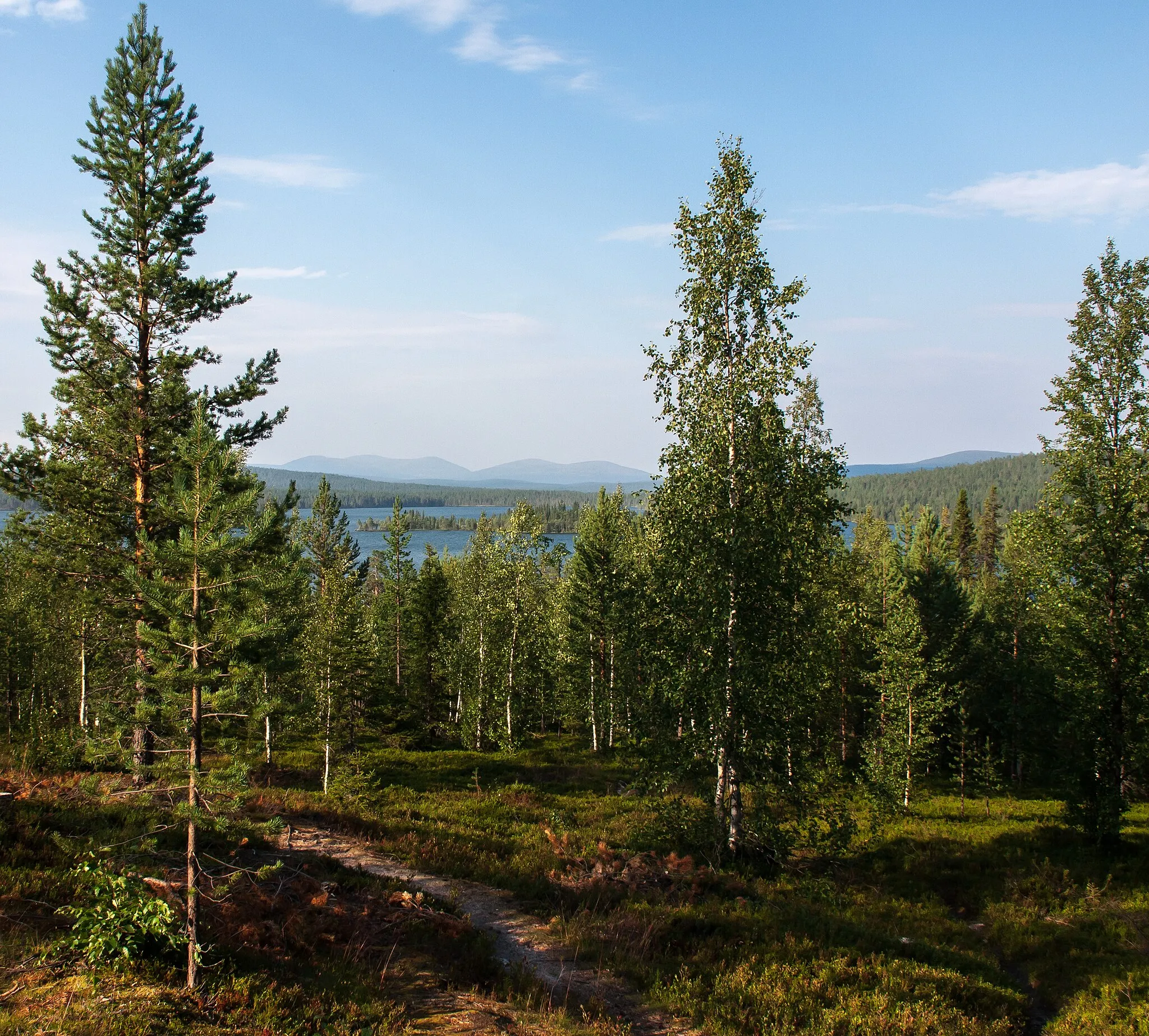 Photo showing: Pallastunturi as seen from lake Särkijärvi in Muonio, Lapland, Finland in 2019 January.