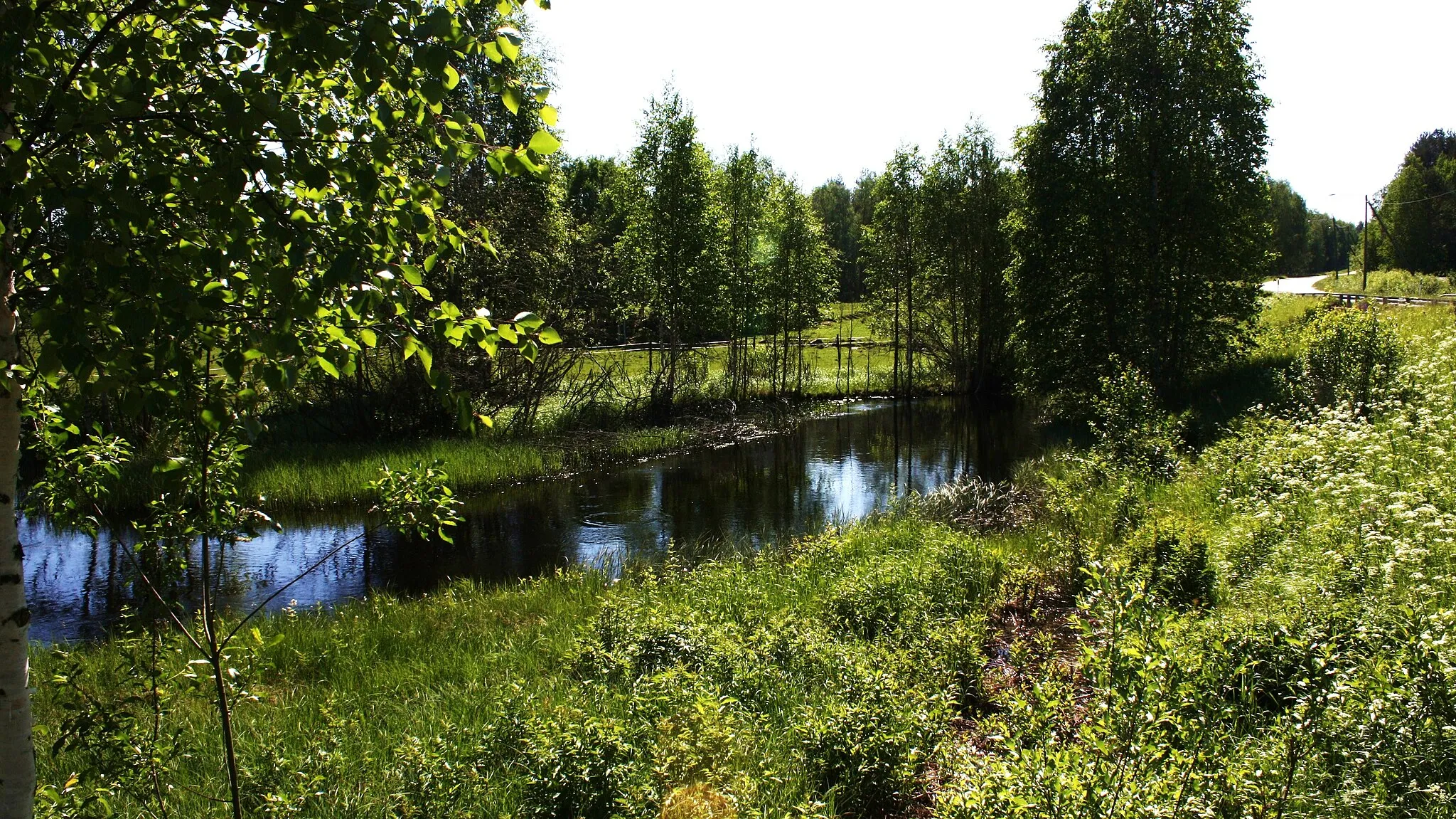 Photo showing: Sivakkajoki River is a 5,7 km long river, which is located in municipality of Kaavi, province of Northern Savonia.
The waters of Sivakkajoki River flows from Lake Sivakkajärvi to Lake Suuri-Kortteinen.