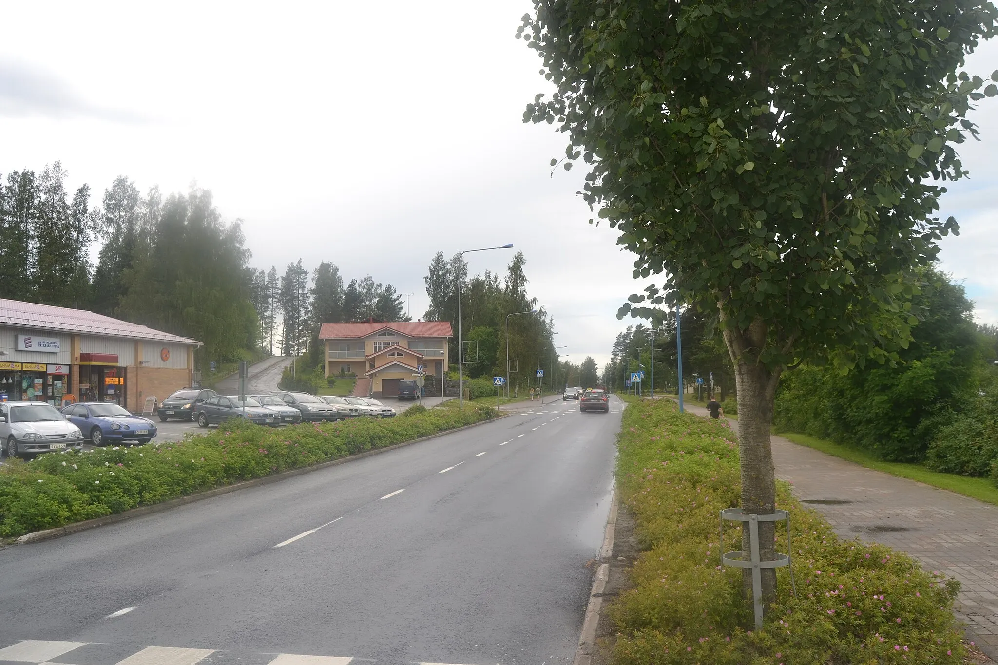 Photo showing: Lapinlahti center, Finland