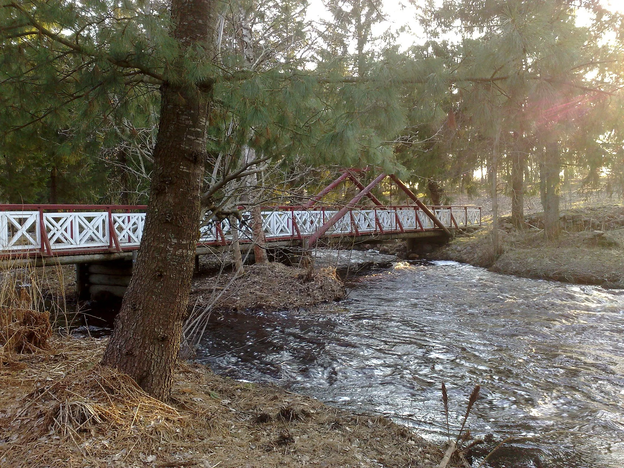 Photo showing: Alakestilä, arboretum, Liminka, Finland