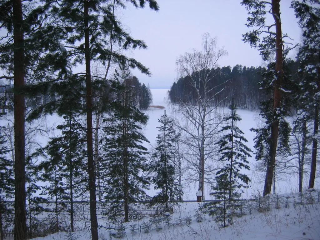 Photo showing: Anitsanlahti of lake Simple in Parikkala, Finland in Winter time.