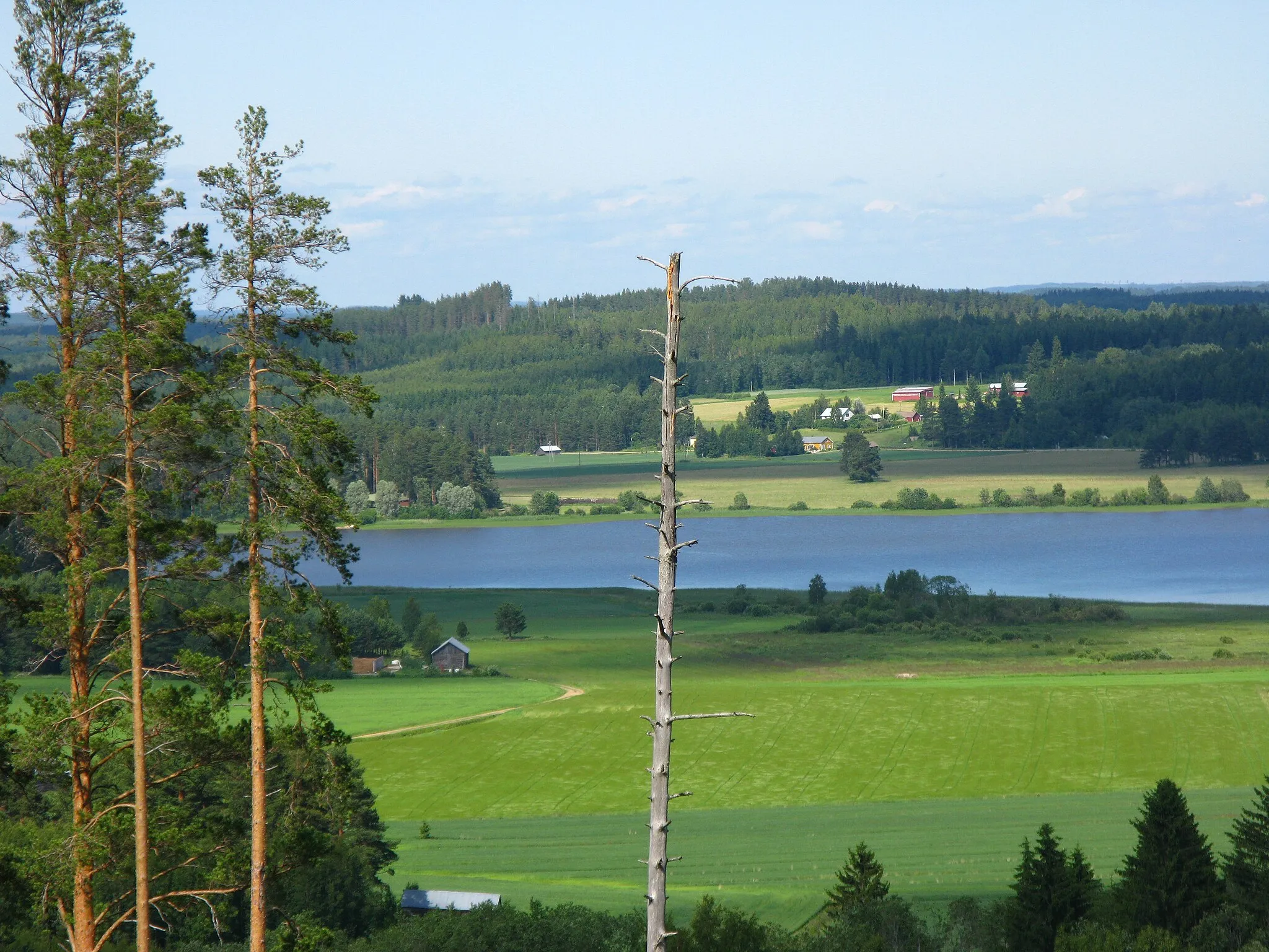 Photo showing: A view towards the North taken from the Vaaranmäki tower located in Saari, Parikkala, Finland. Lake Pieni Rautjärvi on the background.