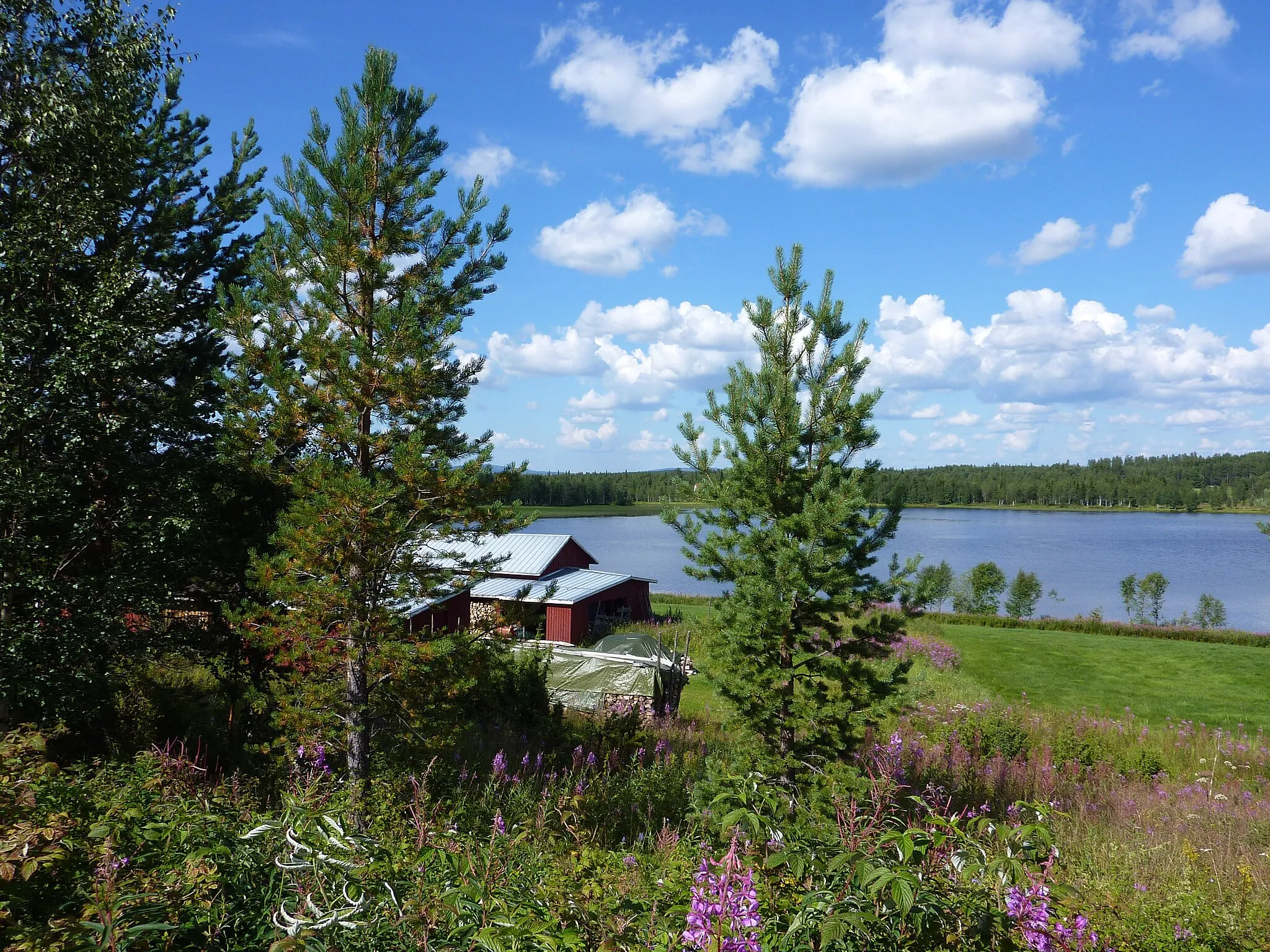 Photo showing: Kotijärvi, Salmivaara, Salla