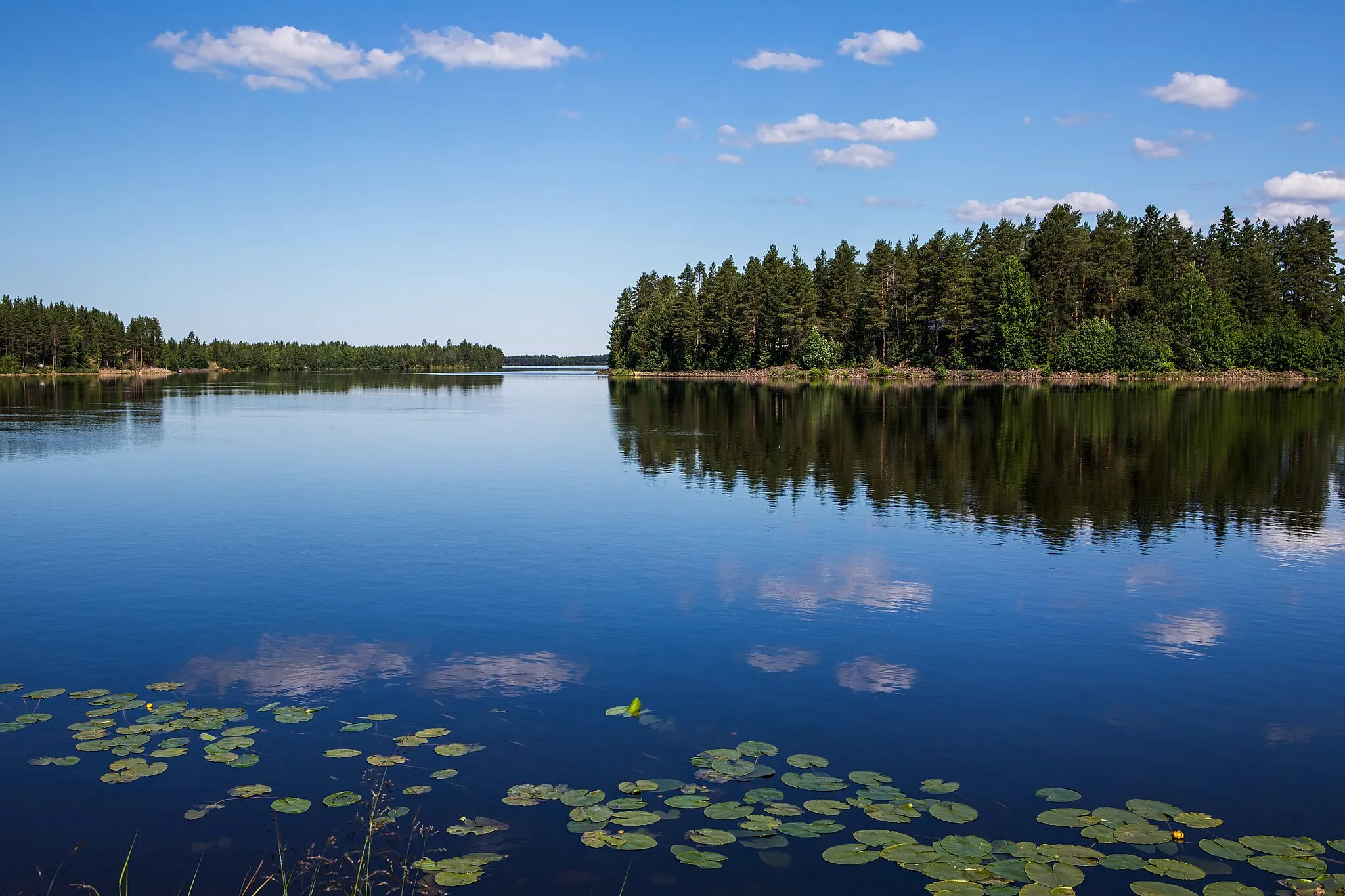 Photo showing: River Iijoki photographed in Rajala, Jakkukylä, Ii, Finland