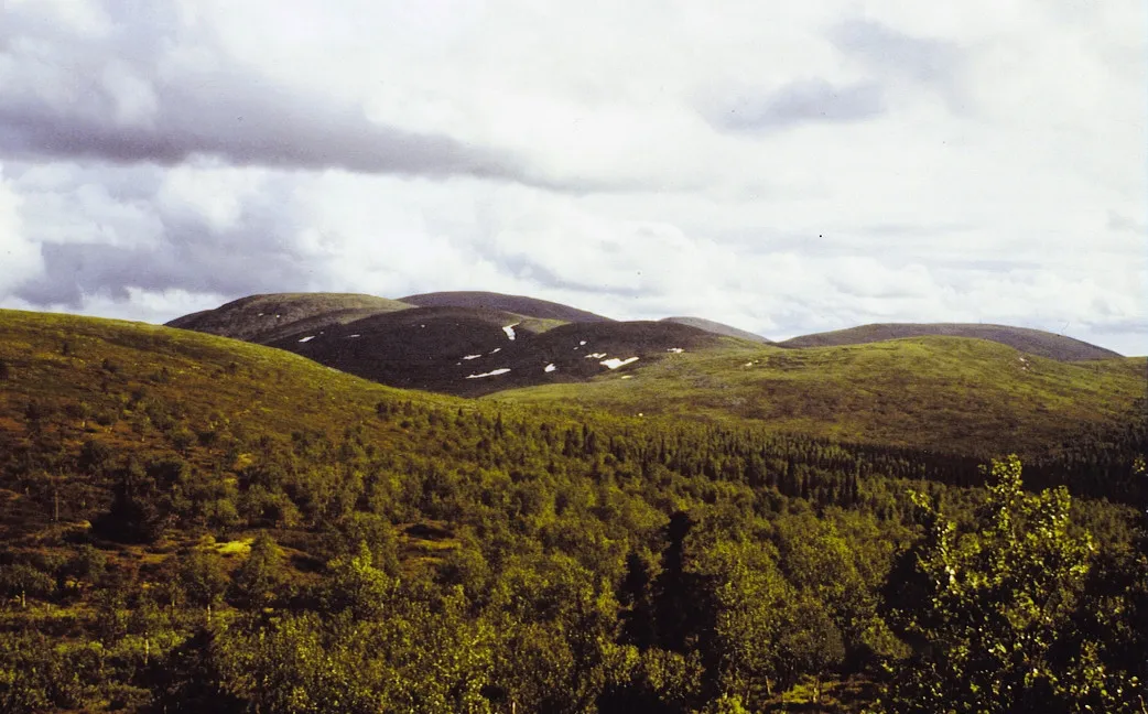 Photo showing: Taivaskero fell (806 m AMSL) in Pallas-Yllästunturi National Park, Muonio, Finland