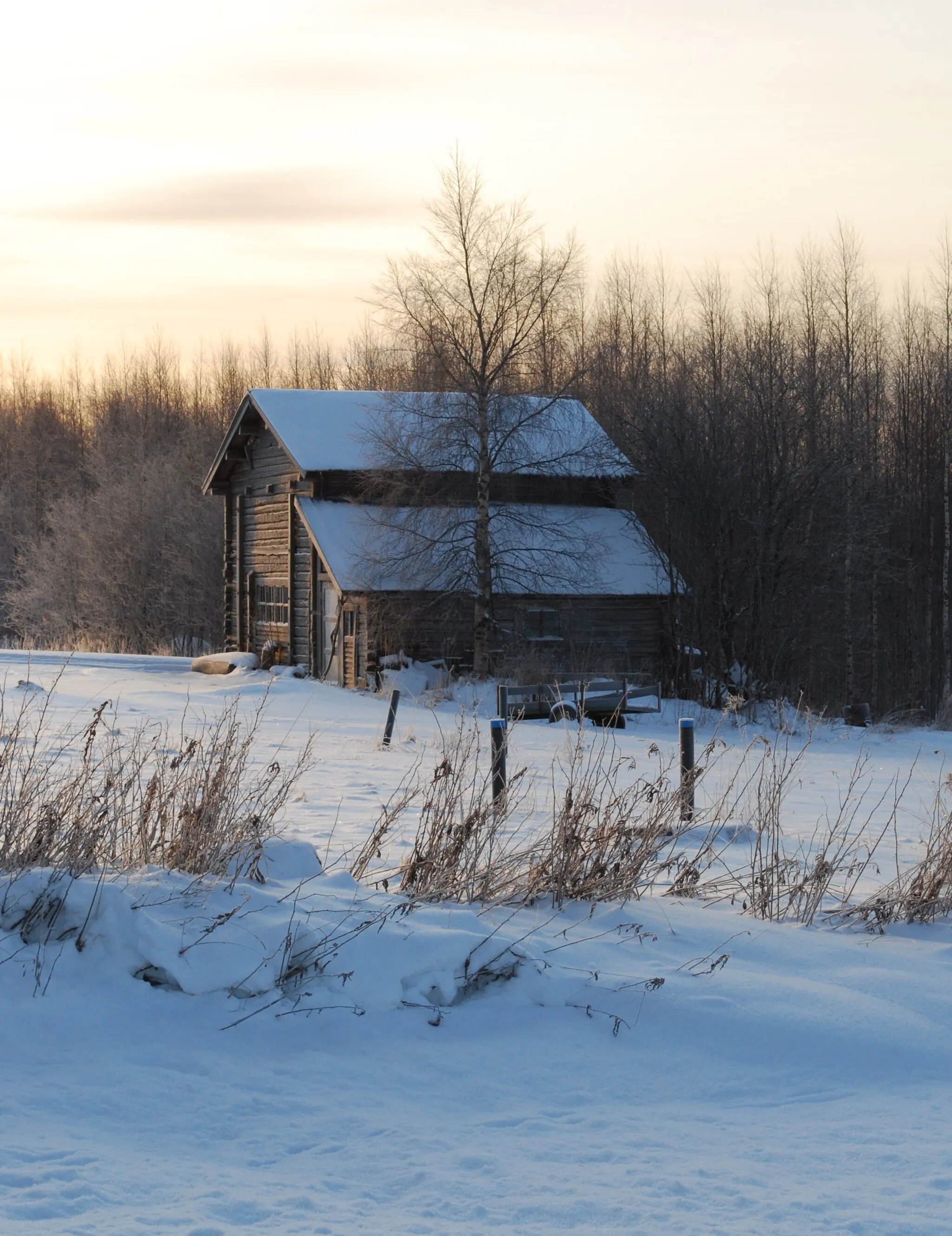 Photo showing: Winter walk around Selkie, North Karelia, Finland