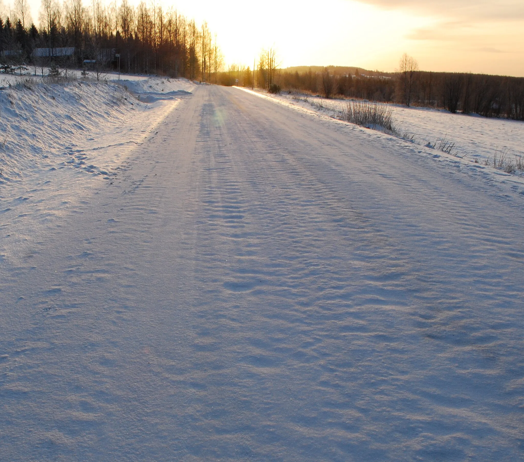 Photo showing: Winter walk around Selkie, North Karelia, Finland