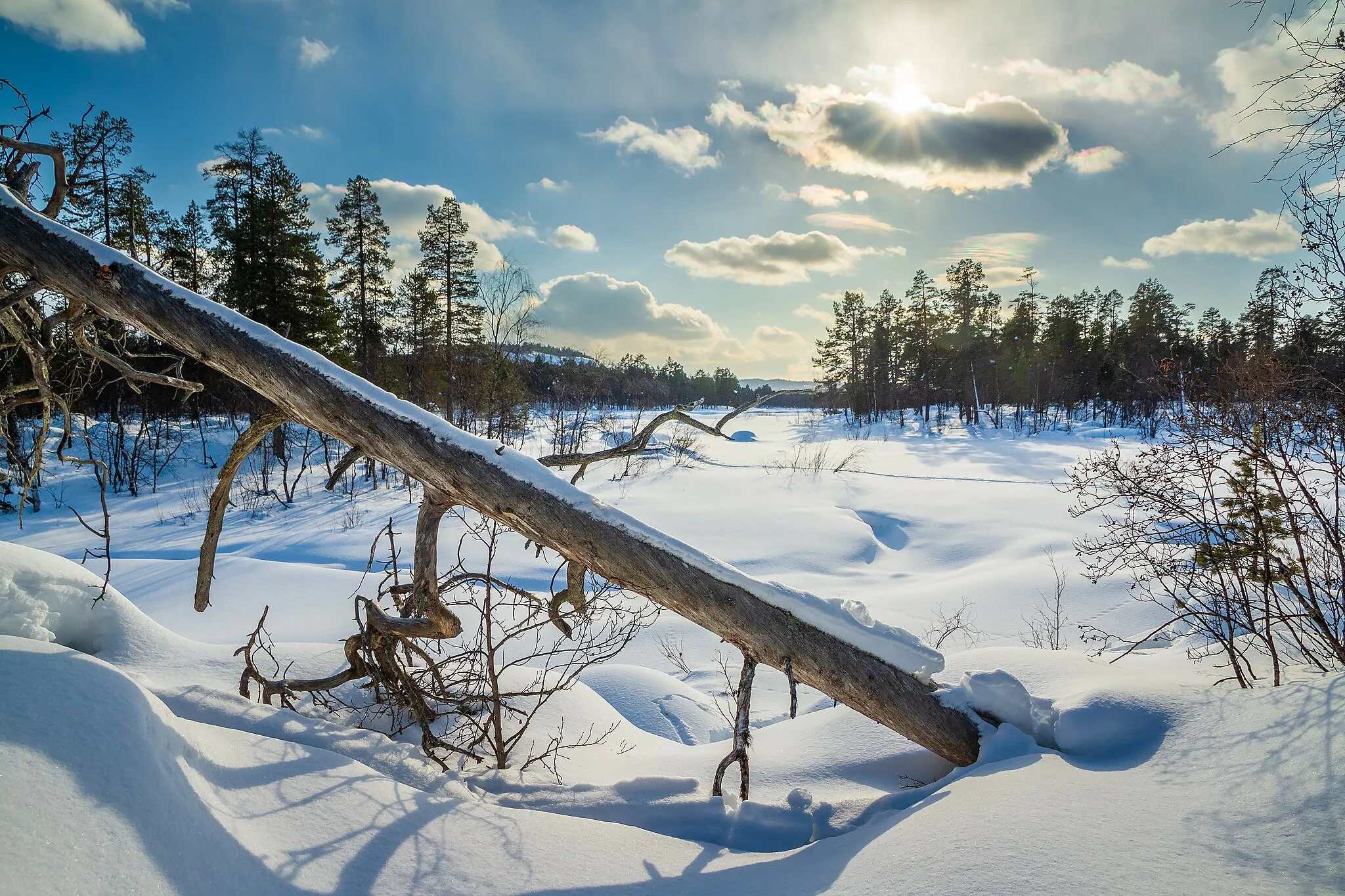 Photo showing: Juutuanjoki river winter landscape at Jäniskoski rapids in Inari, Lapland, Finland in 2018 March.