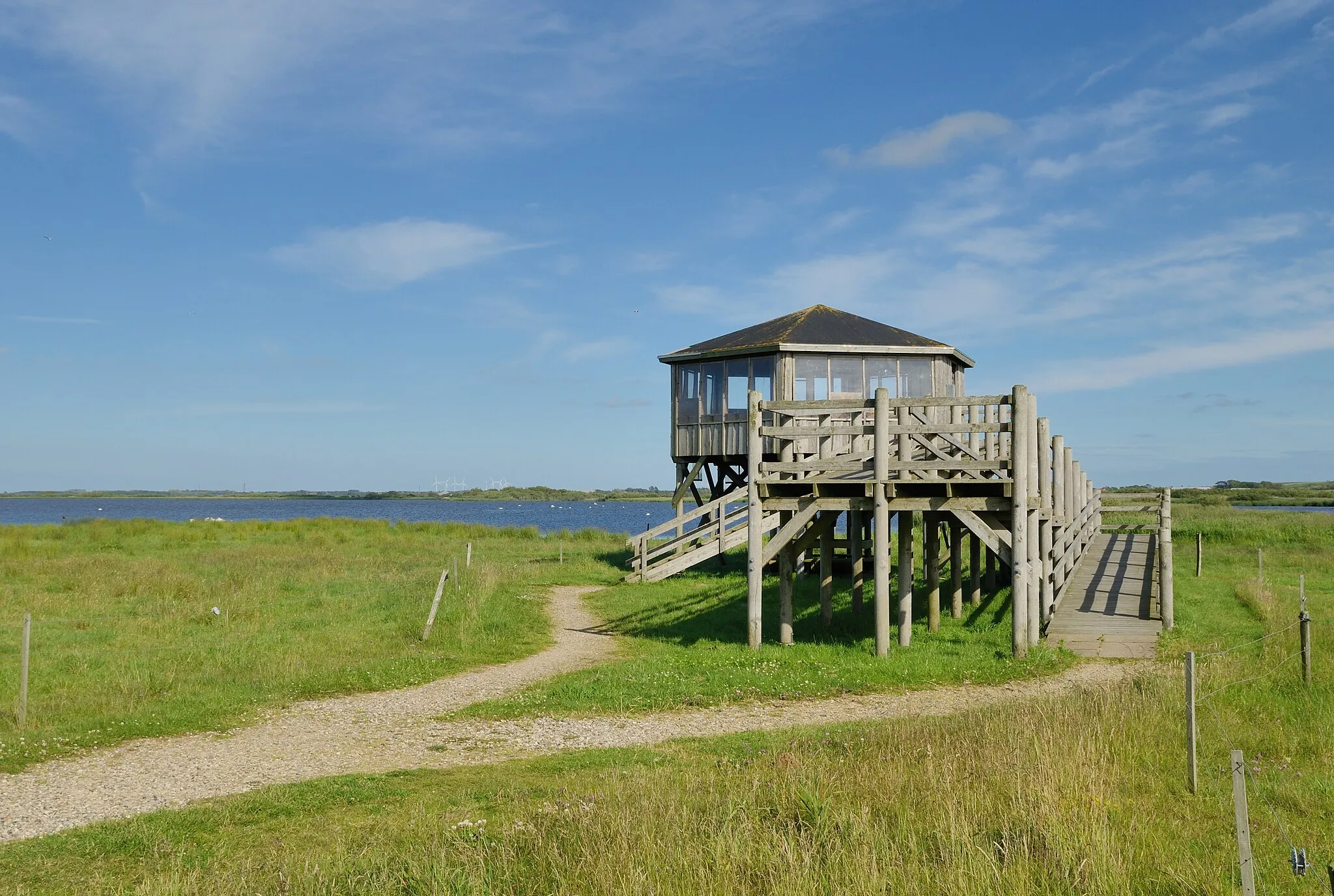 Photo showing: Skjern Enge (nature area)