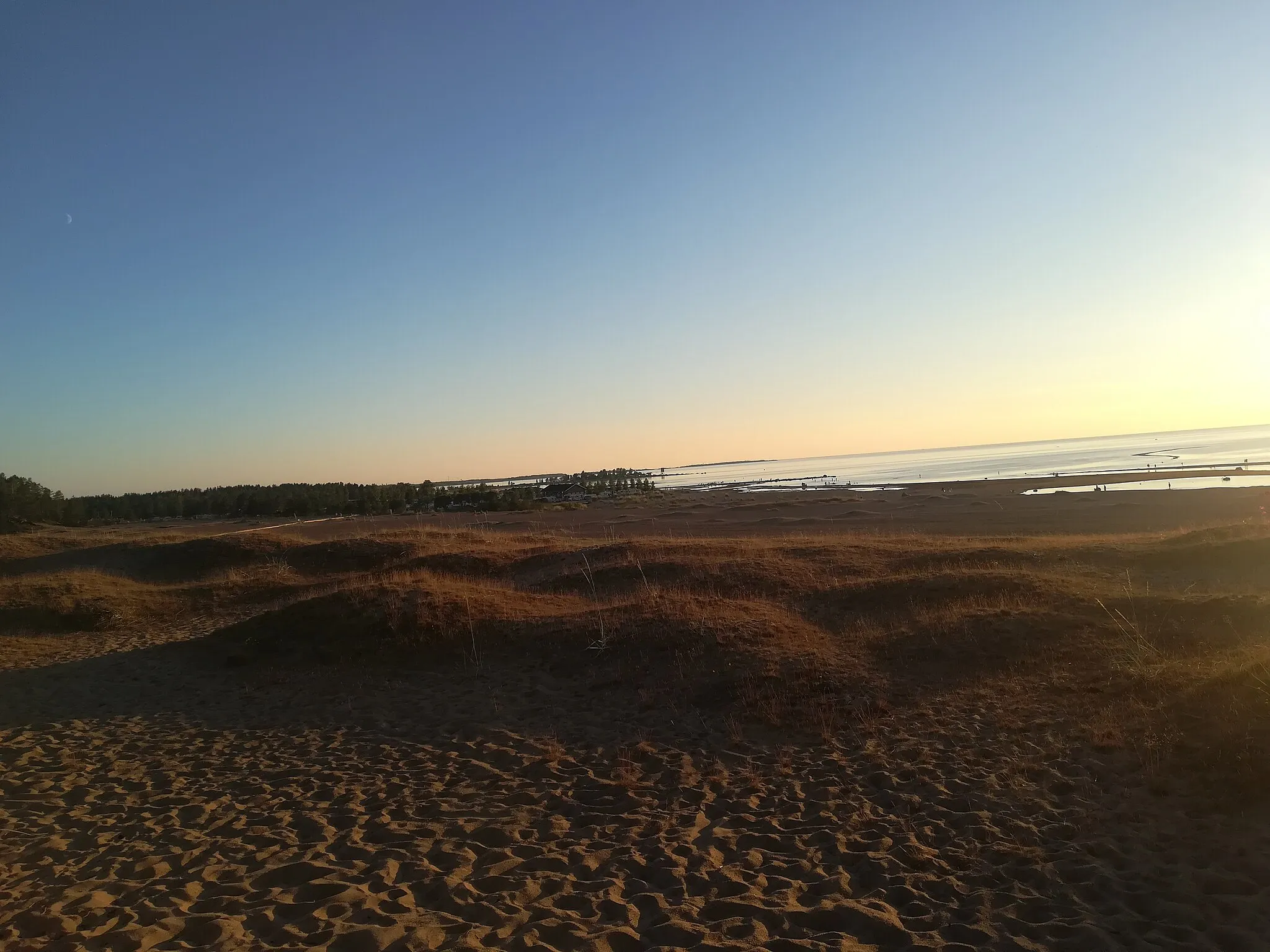 Photo showing: Kalajoen hiekkasärkät heinäkuussa 2018.