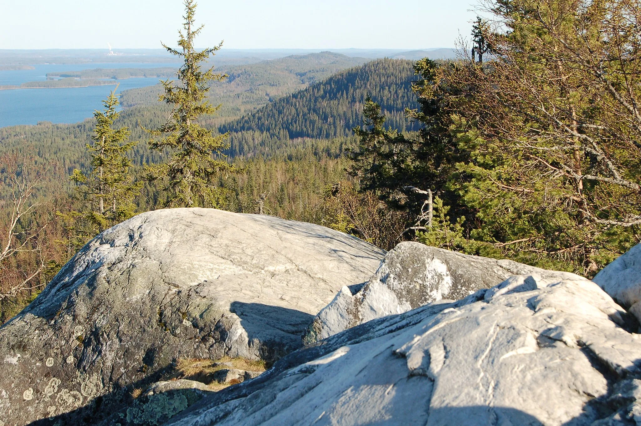 Photo showing: Ukko-Koli in Koli National Park.