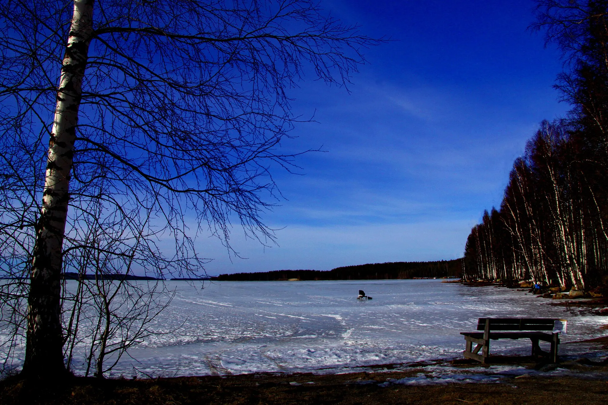 Photo showing: Kontiolahti. Au bord du lac Höytiäinen.