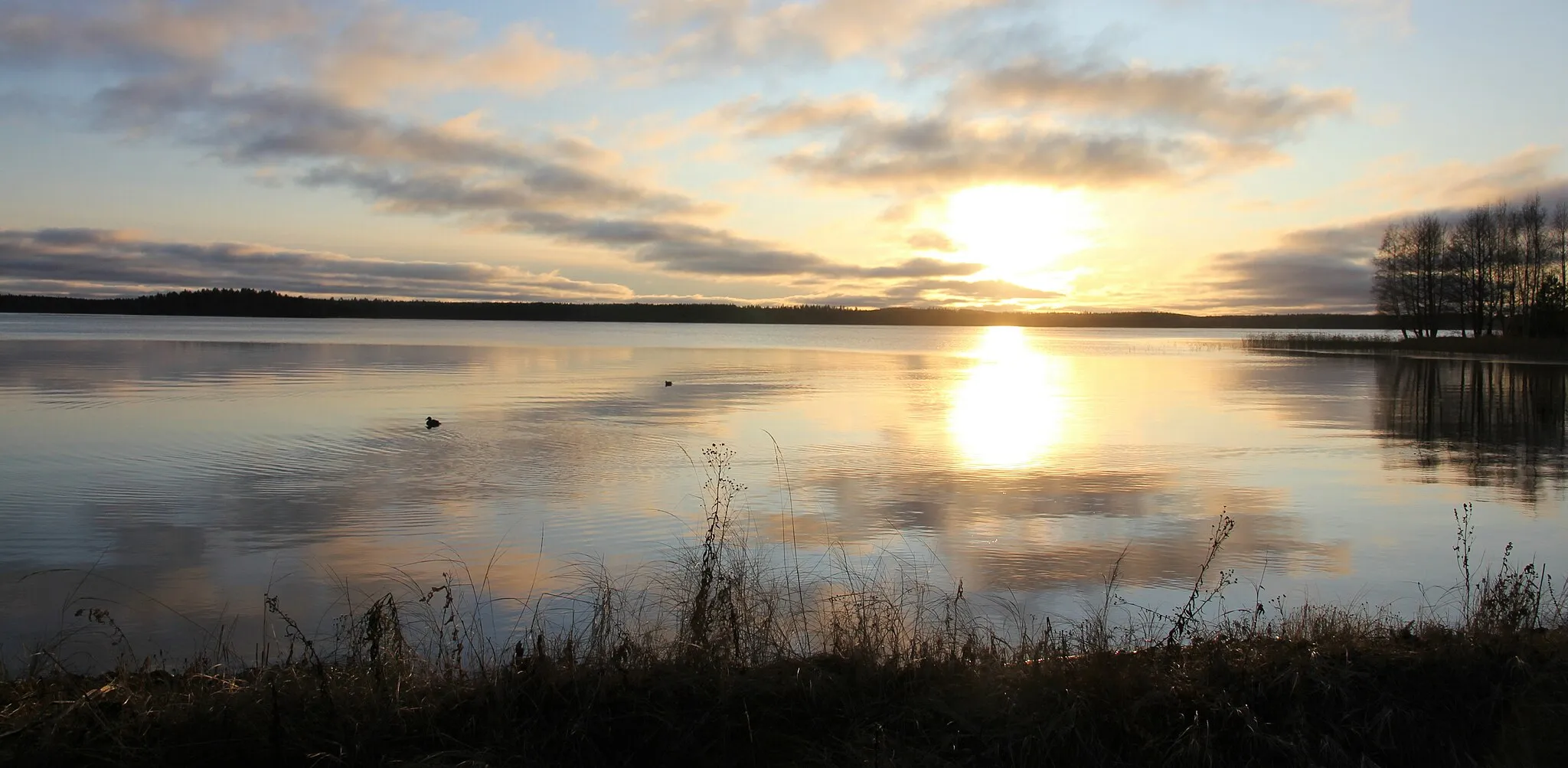 Photo showing: Jukajärven uimarantaa marraskuisena iltapäivänä Juvalla. Uimaranta sijaitsee Gottlundin tuvan edustalla, Paikalle johtaa polku pysäköintipaikalta osoitteesta Runonlaulajantie 1, Juva.