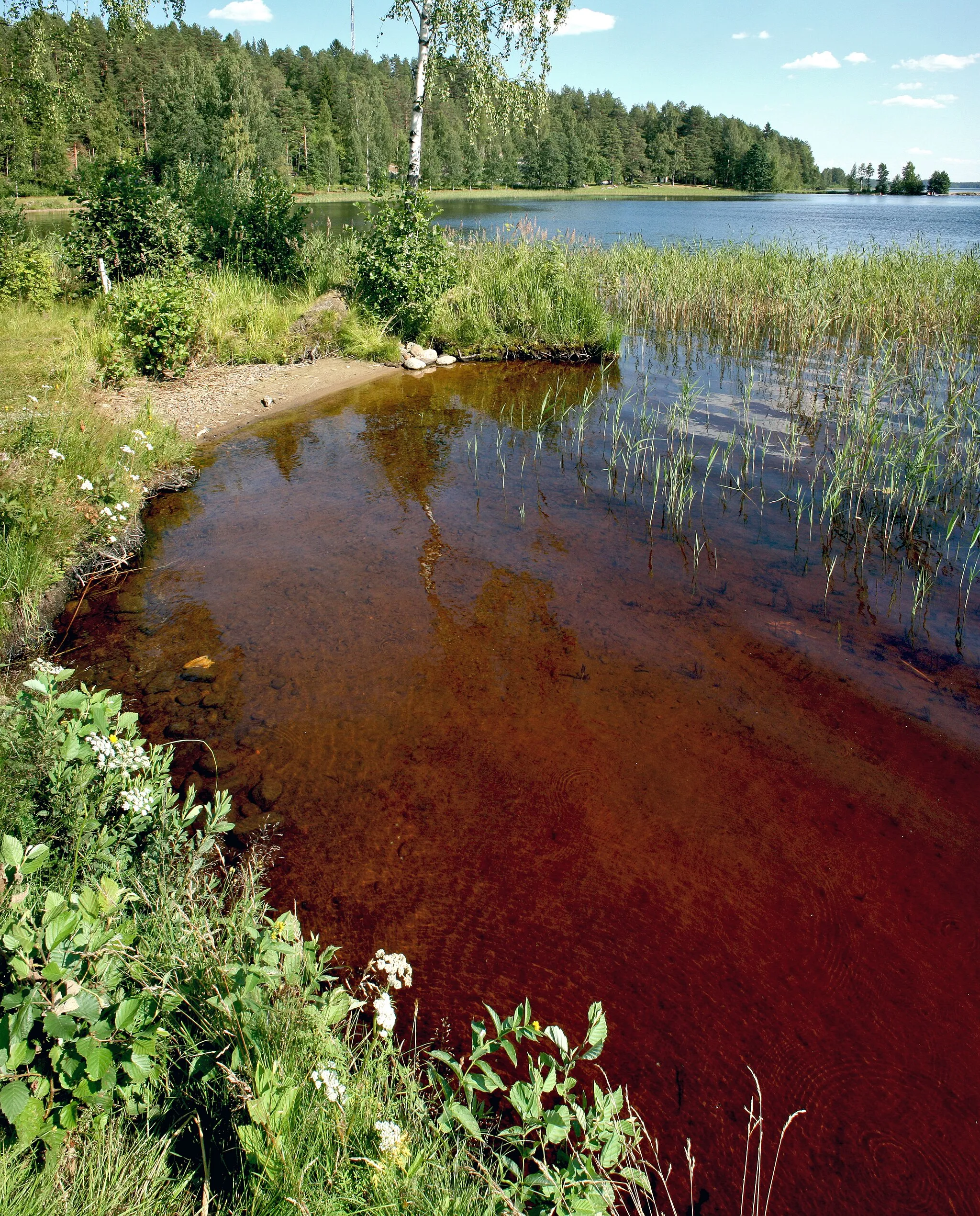 Photo showing: Lake Jukajärvi in Juva, Finland, beach at Pappilanmäki