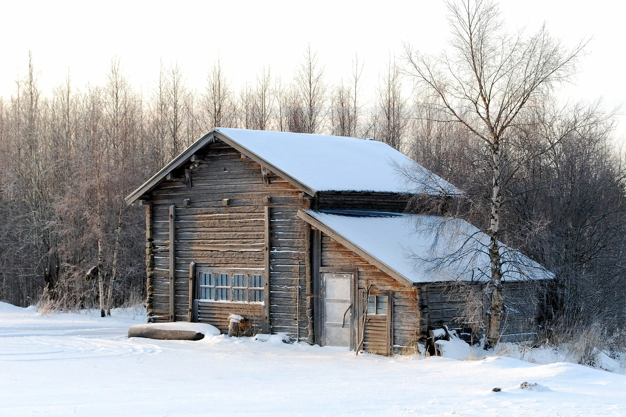 Photo showing: Winter walk around Selkie, North Karelia, Finland