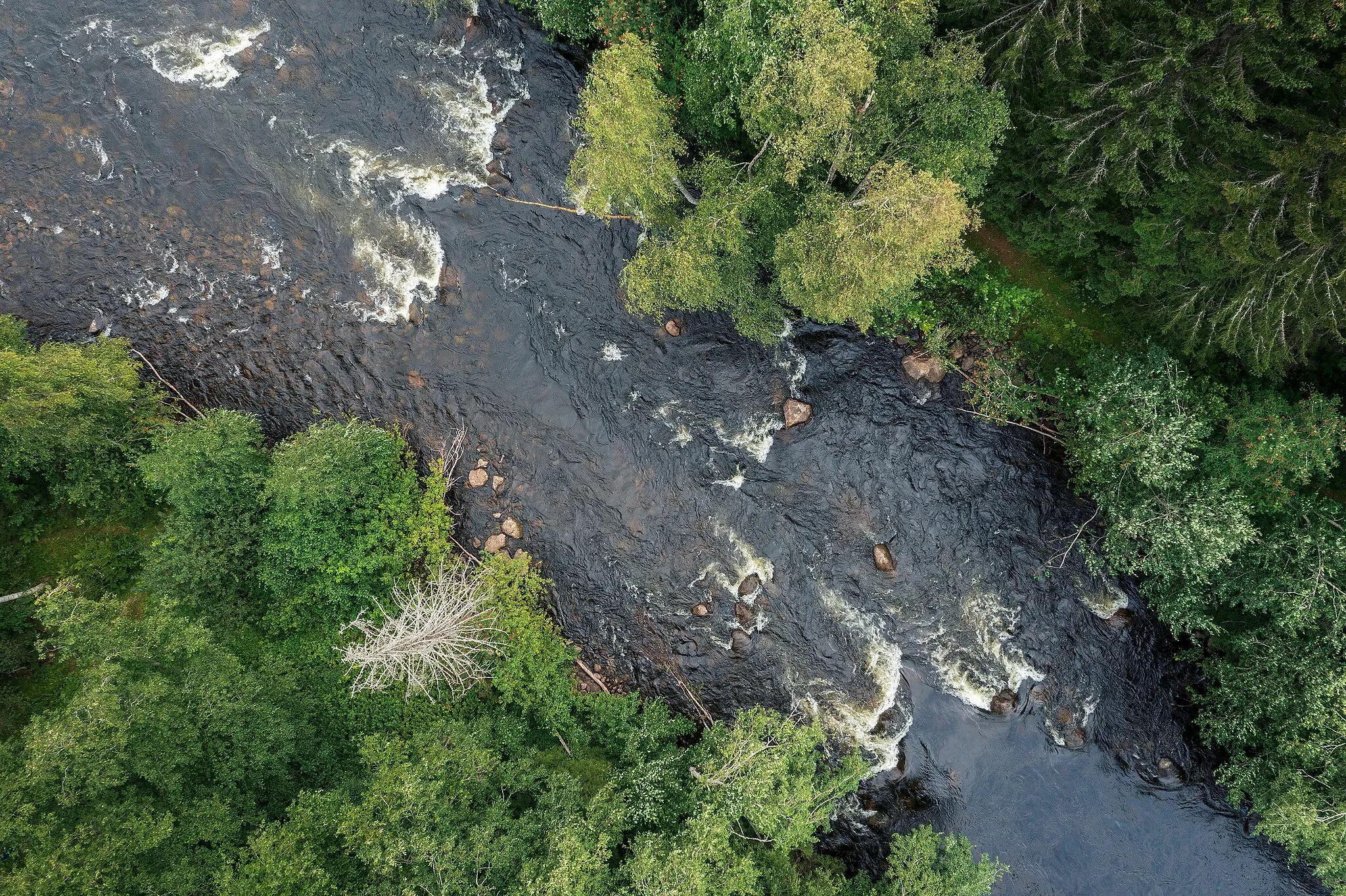 Photo showing: Ripatinkoski rapids in Hirvensalmi, South Savo, Finland in 2021 August.