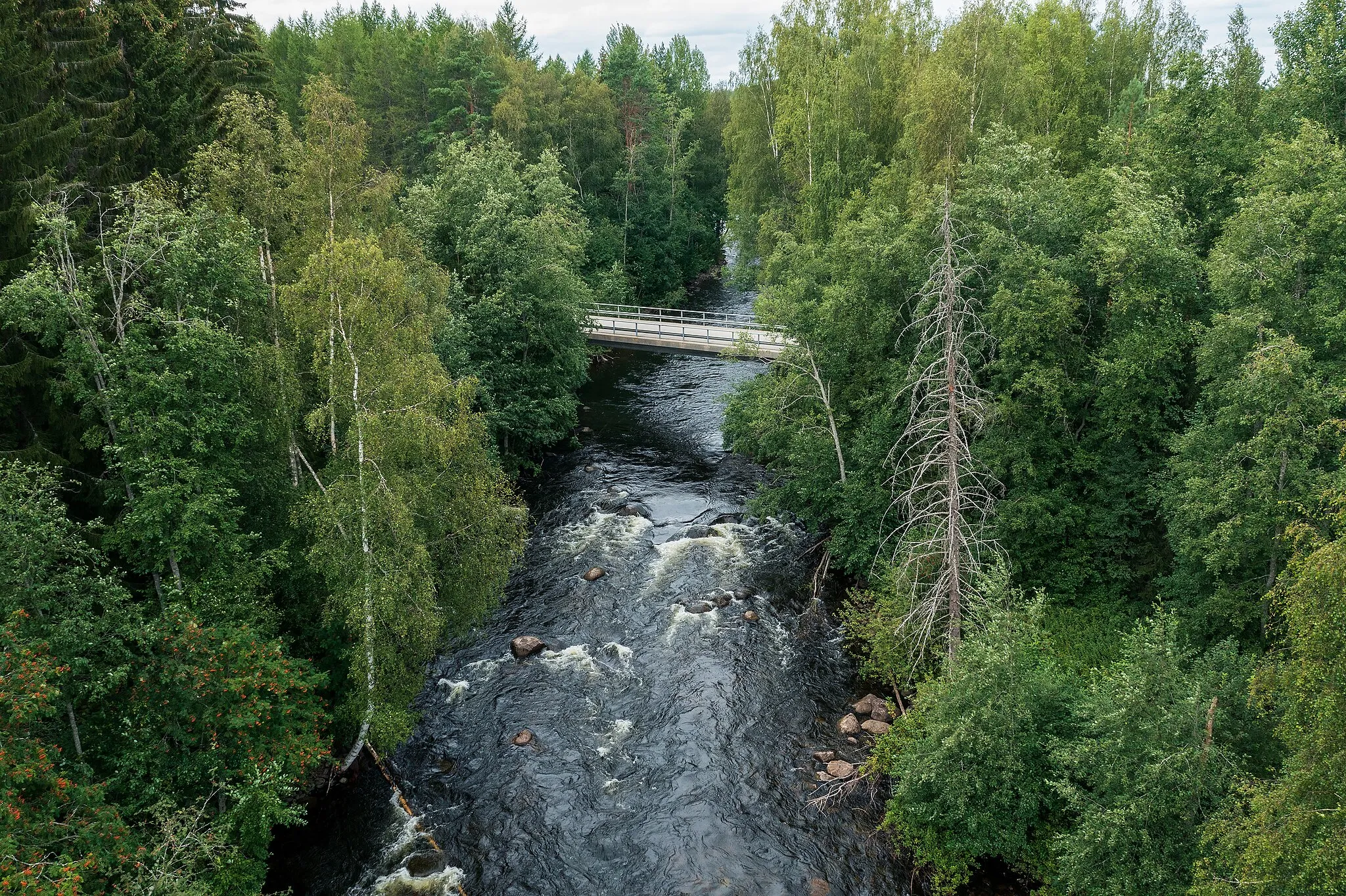 Photo showing: A bridge of Ripatintie road crosses Ripatinkoski rapids in Hirvensalmi, South Savo, Finland in 2021 August.