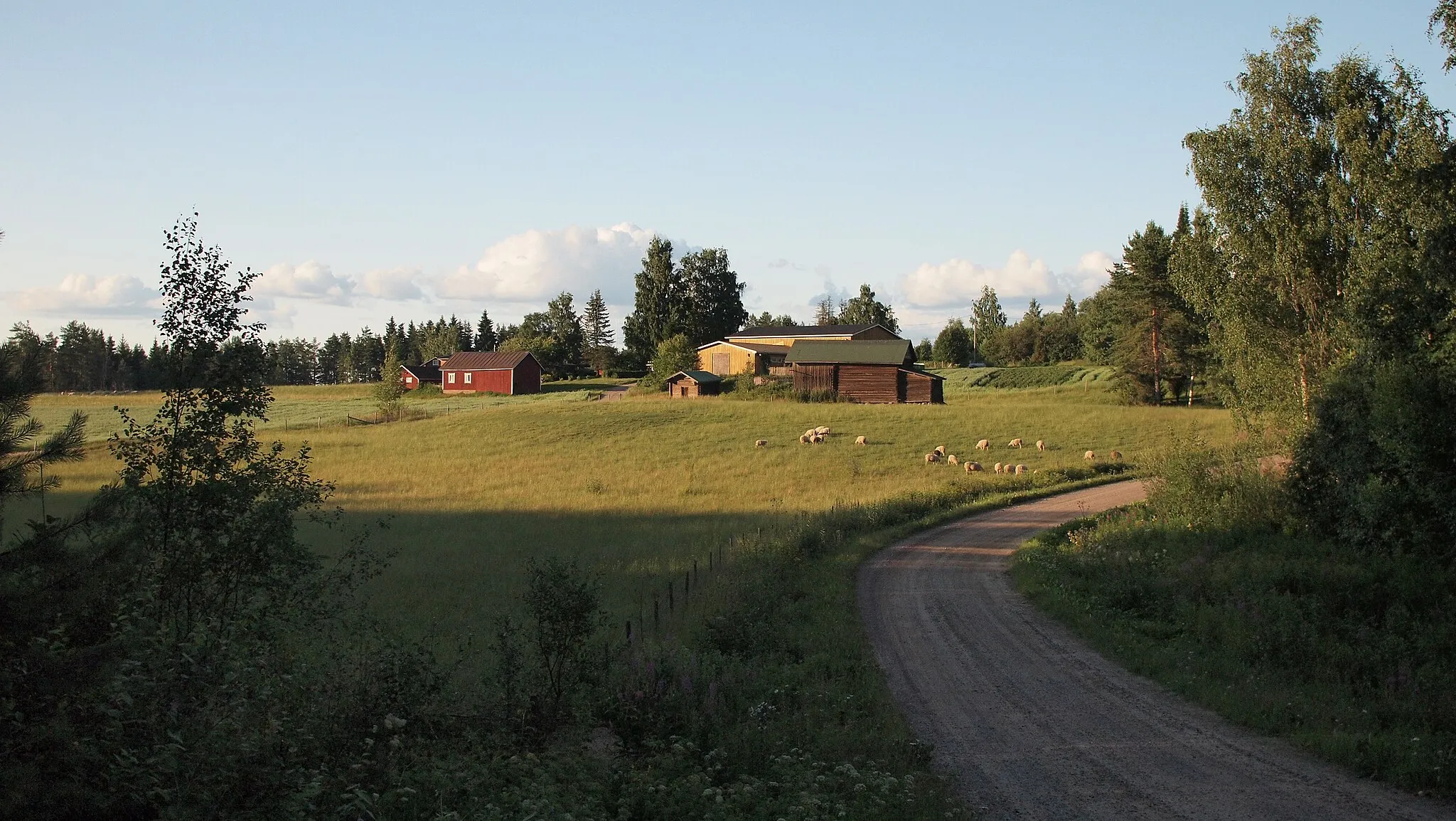 Photo showing: The village of Punkka near Suomenniemi, a former municipality of Finland. Suomenniemi was consolidated with the city of Mikkeli on January 1, 2013.