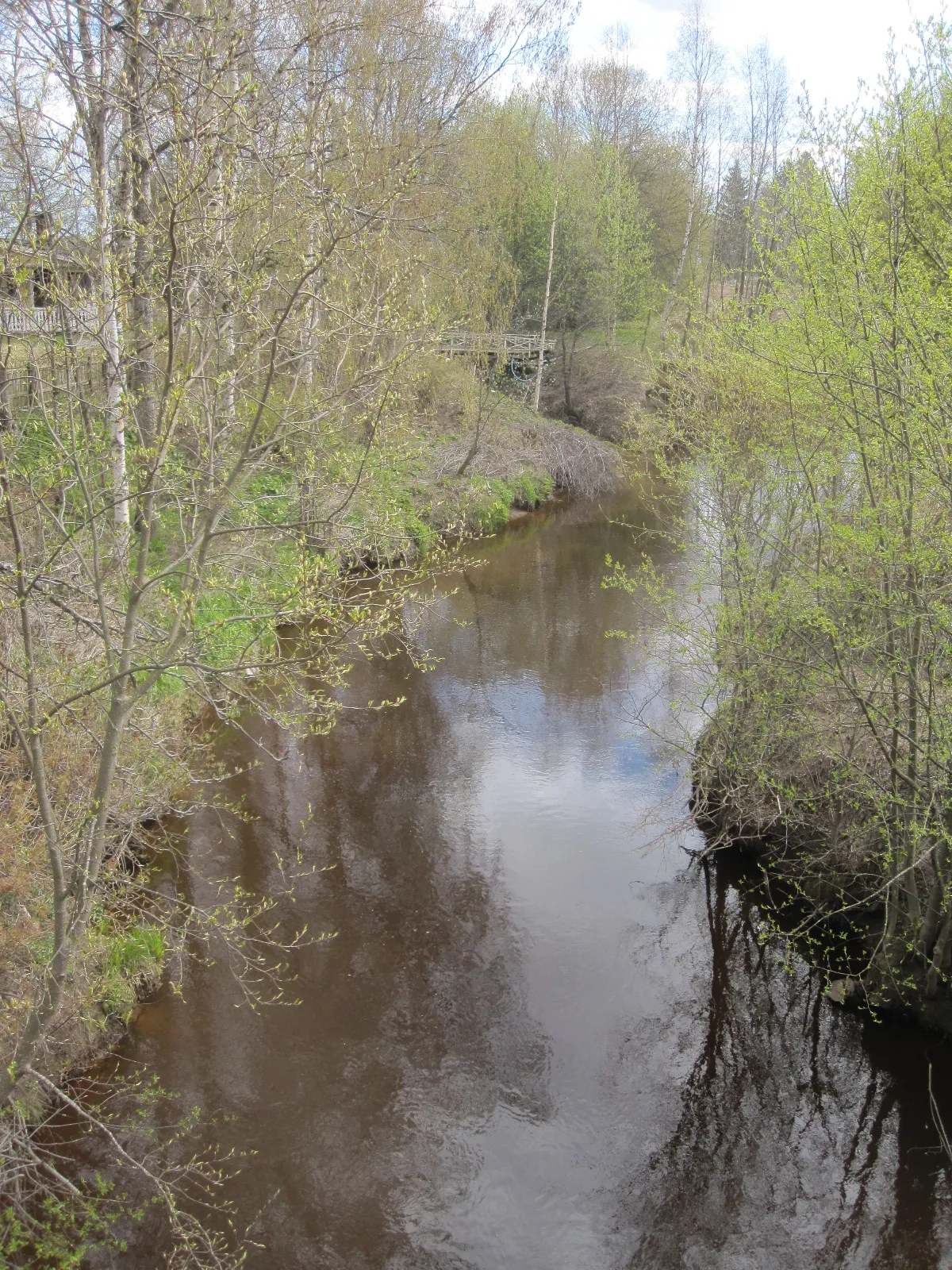 Photo showing: Ängeslevänjoki Tyrnävän Jokisillan kylässä idän suuntaan katsottuna.