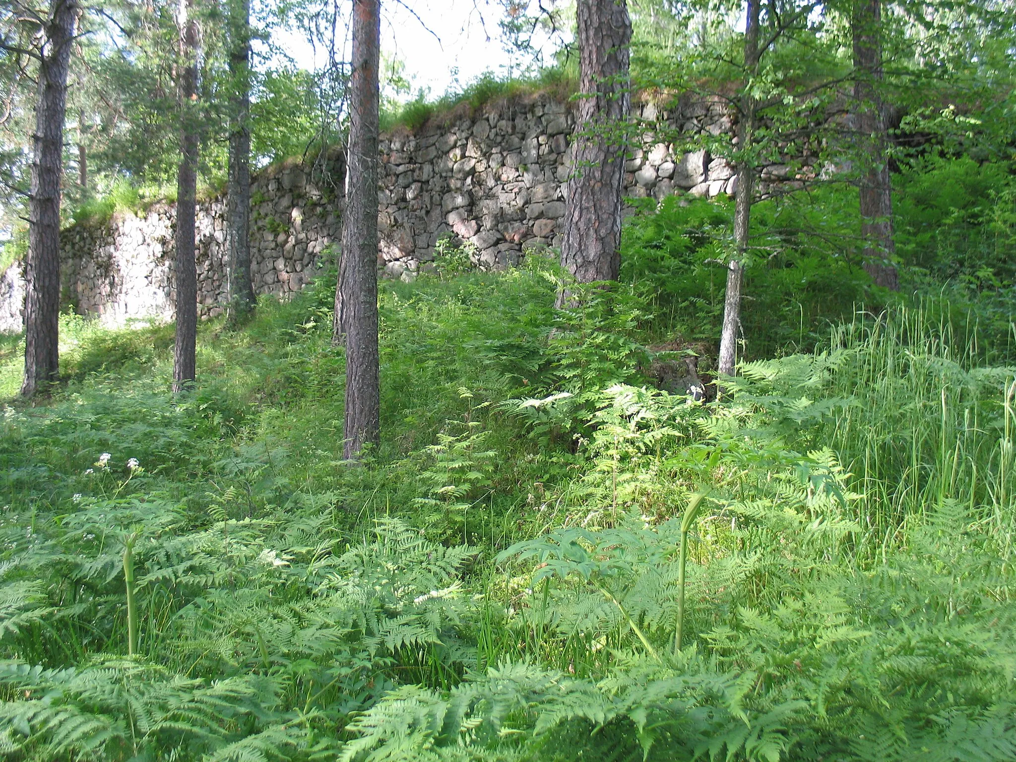 Photo showing: Brahe castle ruins