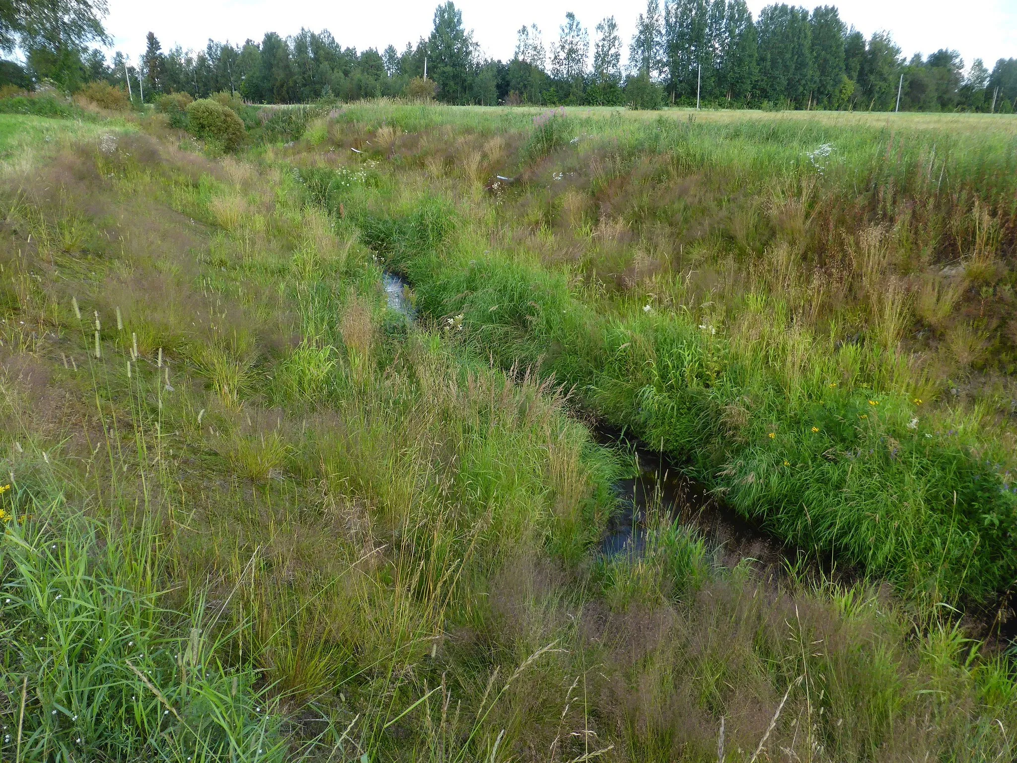 Photo showing: Leppioja, Tyrnävä