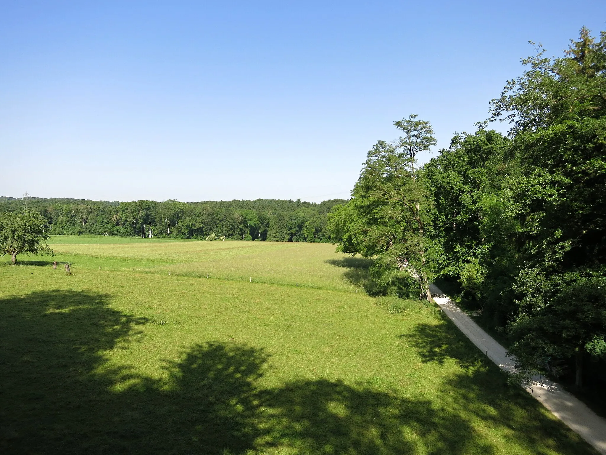 Photo showing: Aussicht vom Erlebnisturm Waldpfad Binningen Richtung Westen