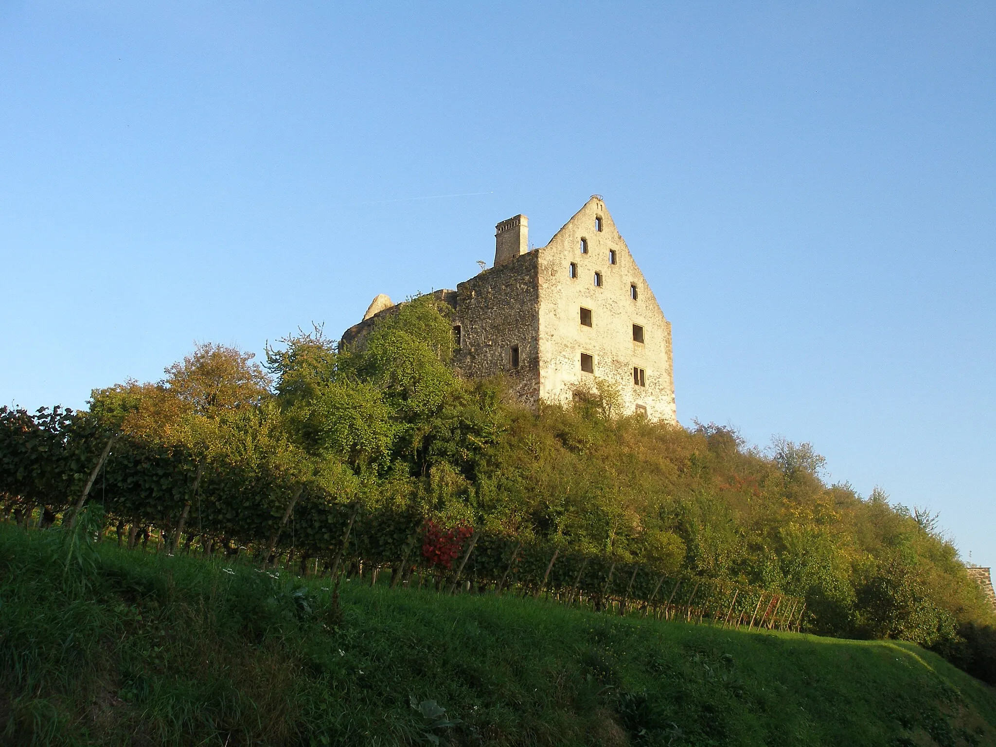 Photo showing: Burkheim am Kaiserstuhl