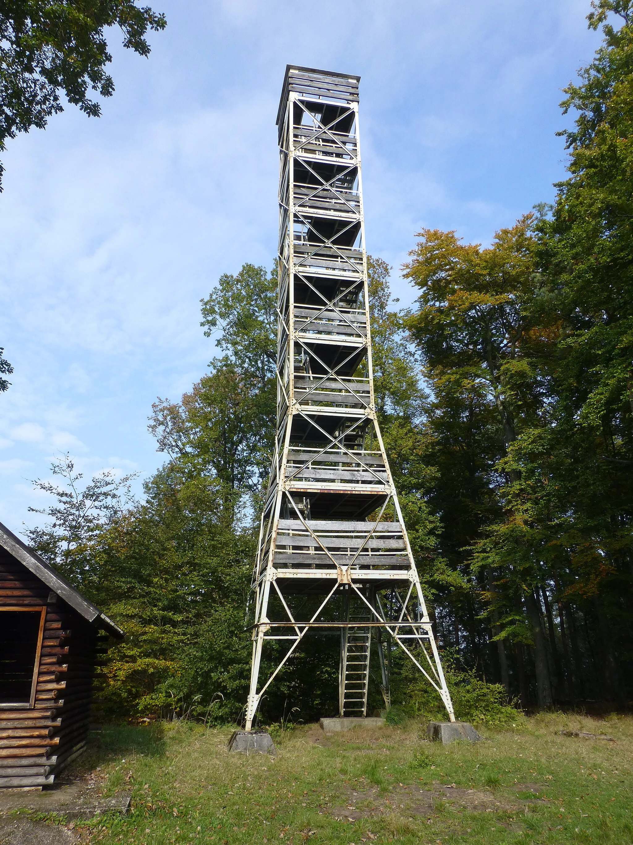 Photo showing: Der Eybergturm auf dem Großen Eyberg bei Dahn