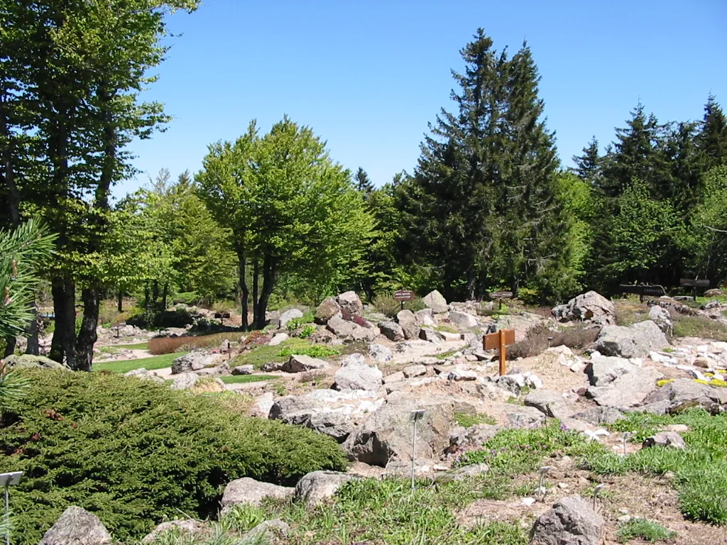 Photo showing: Jardin d'altitude du Haut-Chitelet

Copyright © Christian Amet