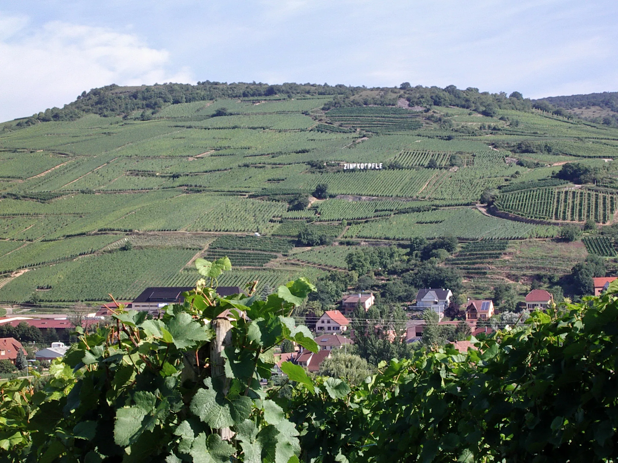 Photo showing: Zinnkoeplfe, vineyard near Soultzmatt and Westhalten, Alsace, France