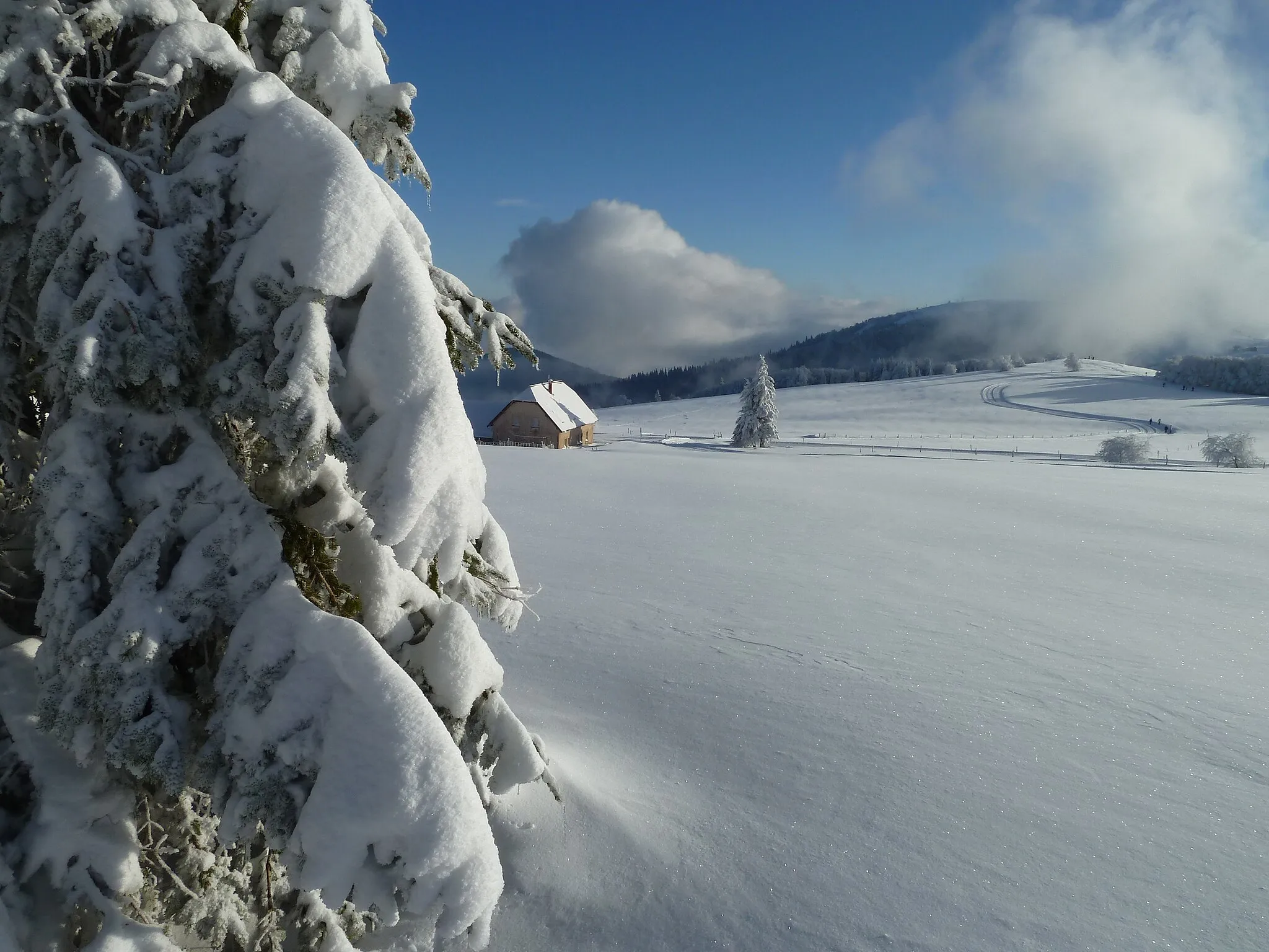 Photo showing: La chaume des Trois fours en hiver, près du Col de la Schlucht (Hautes-Vosges)